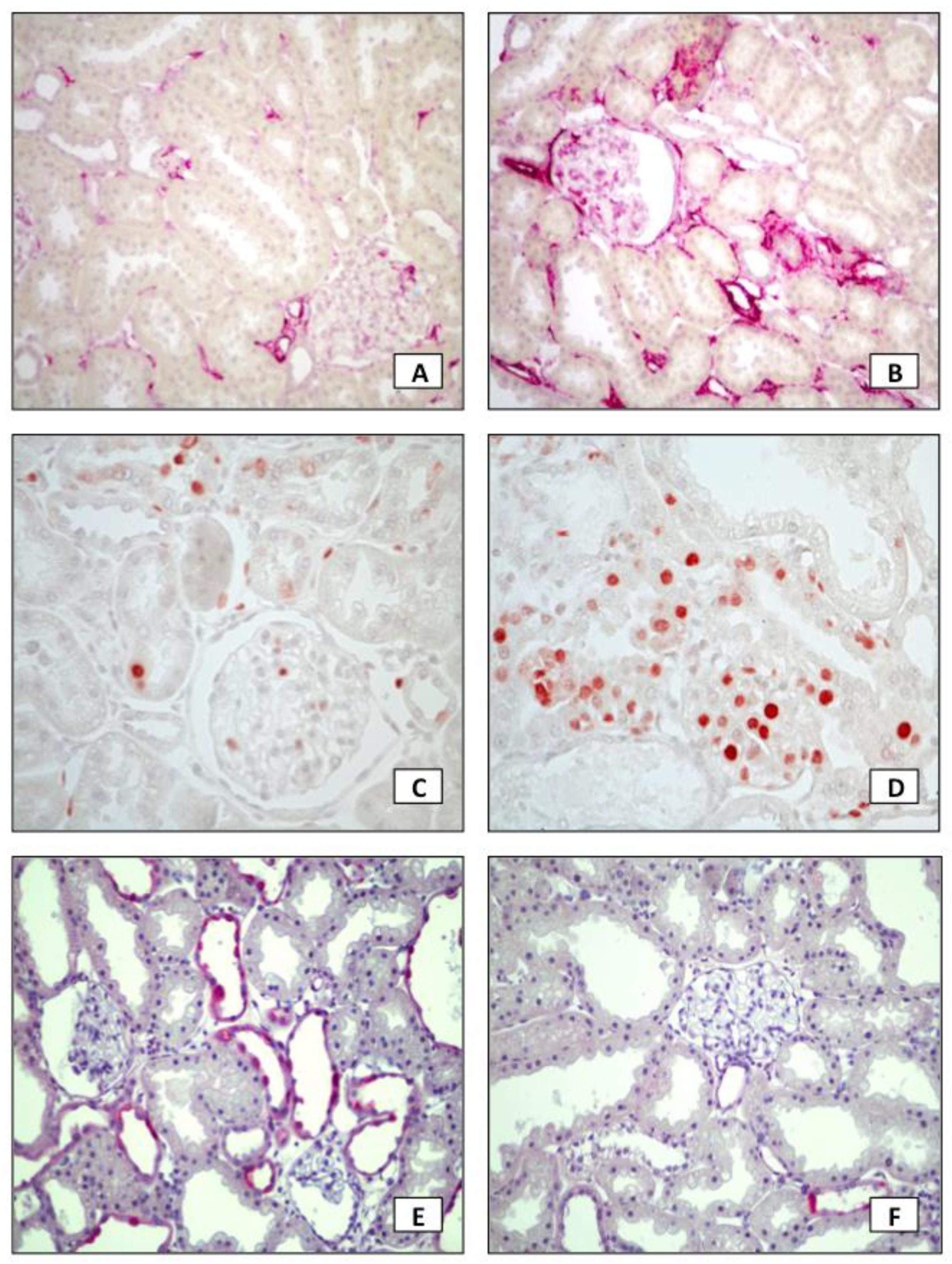 Toxins 13 00503 g002