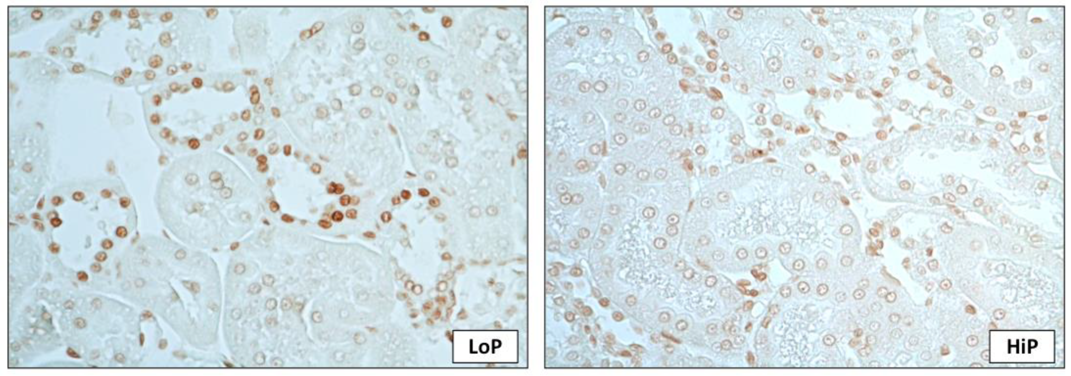 Toxins 13 00503 g003