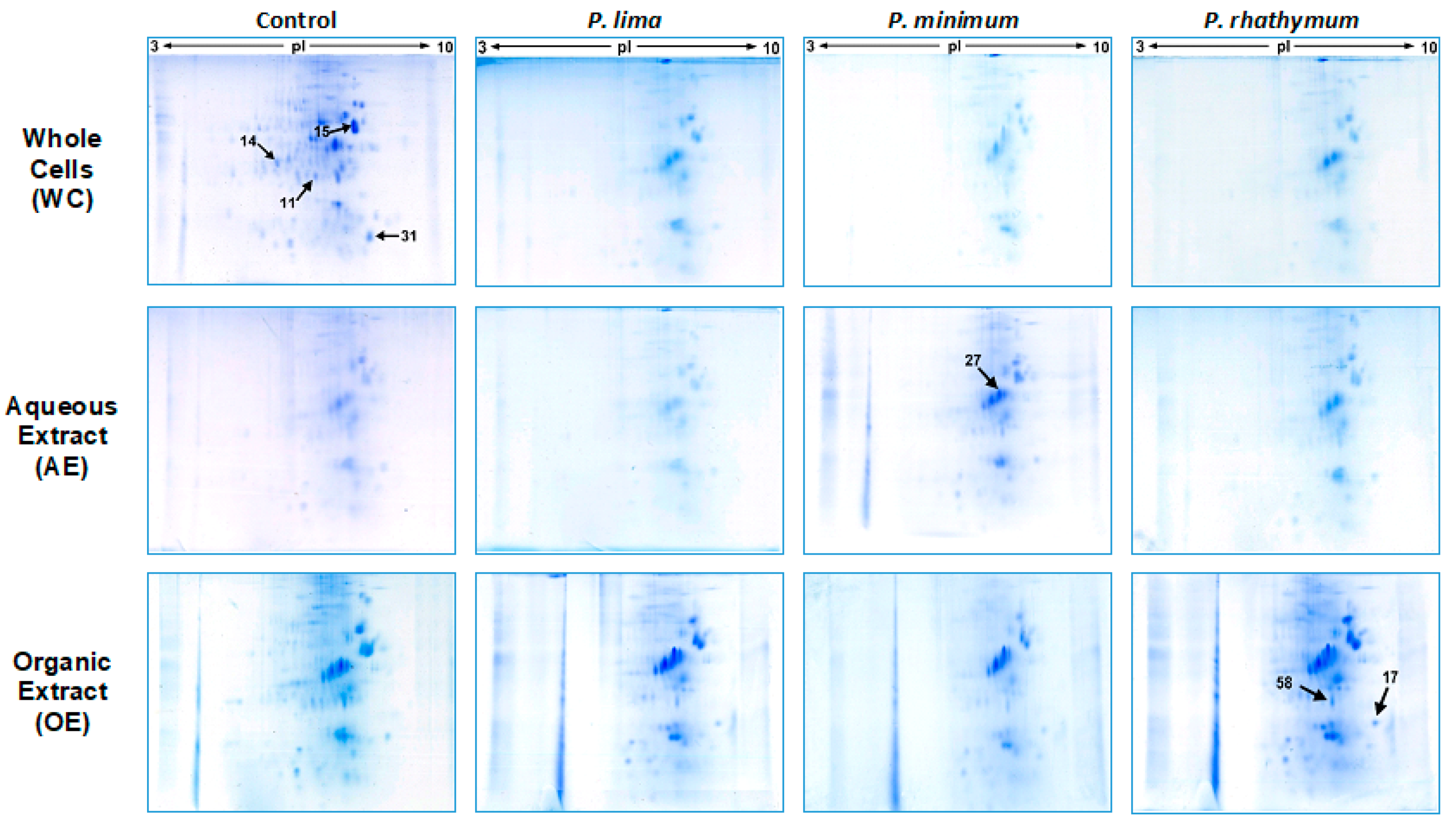 Toxins 13 00504 g003