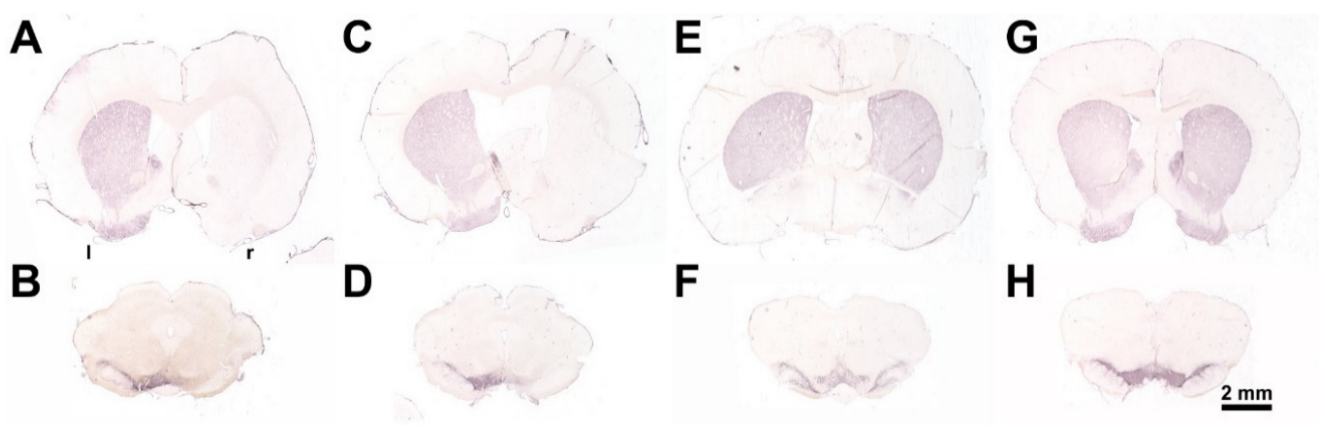 Toxins 13 00505 g011