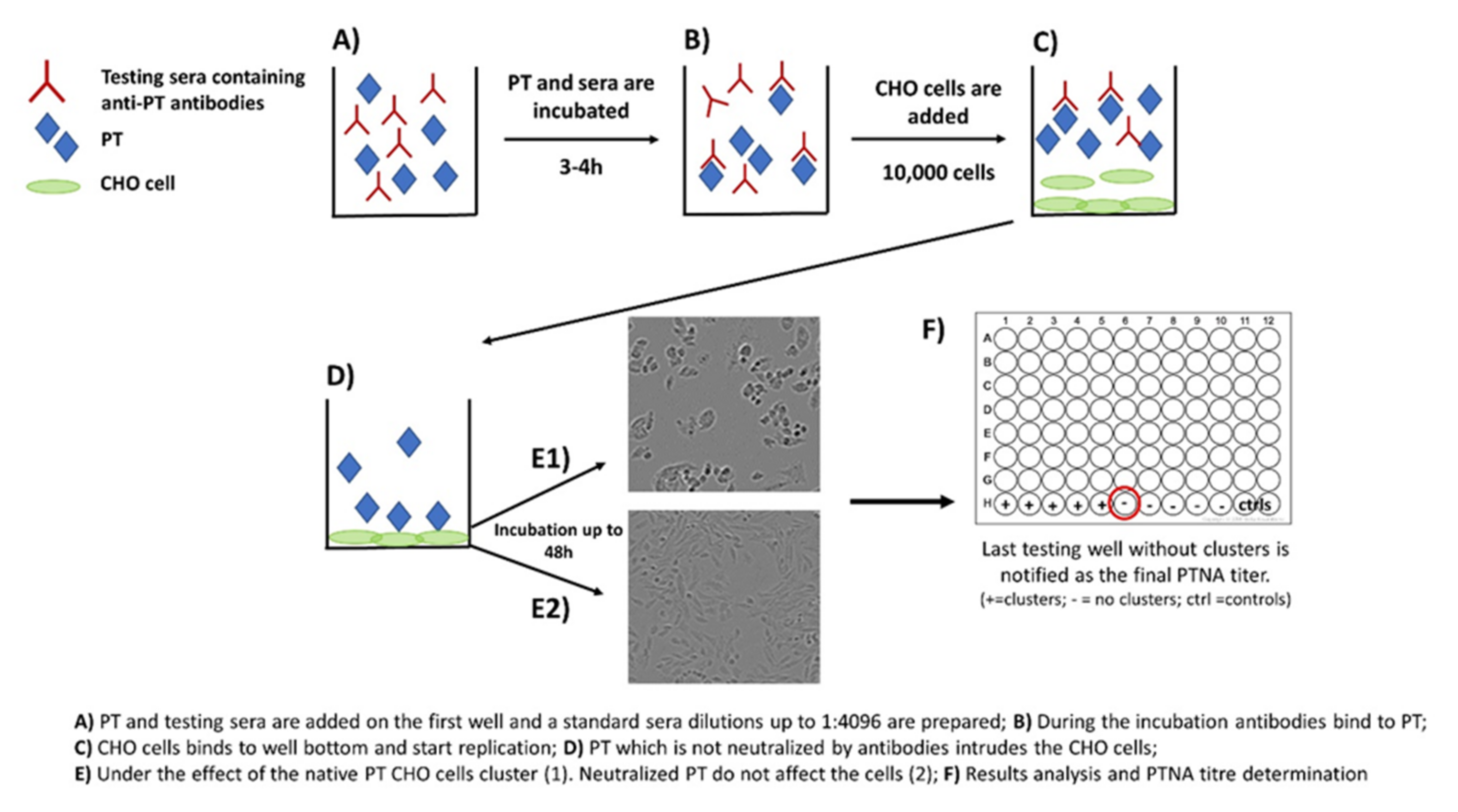 Toxins 13 00508 g002