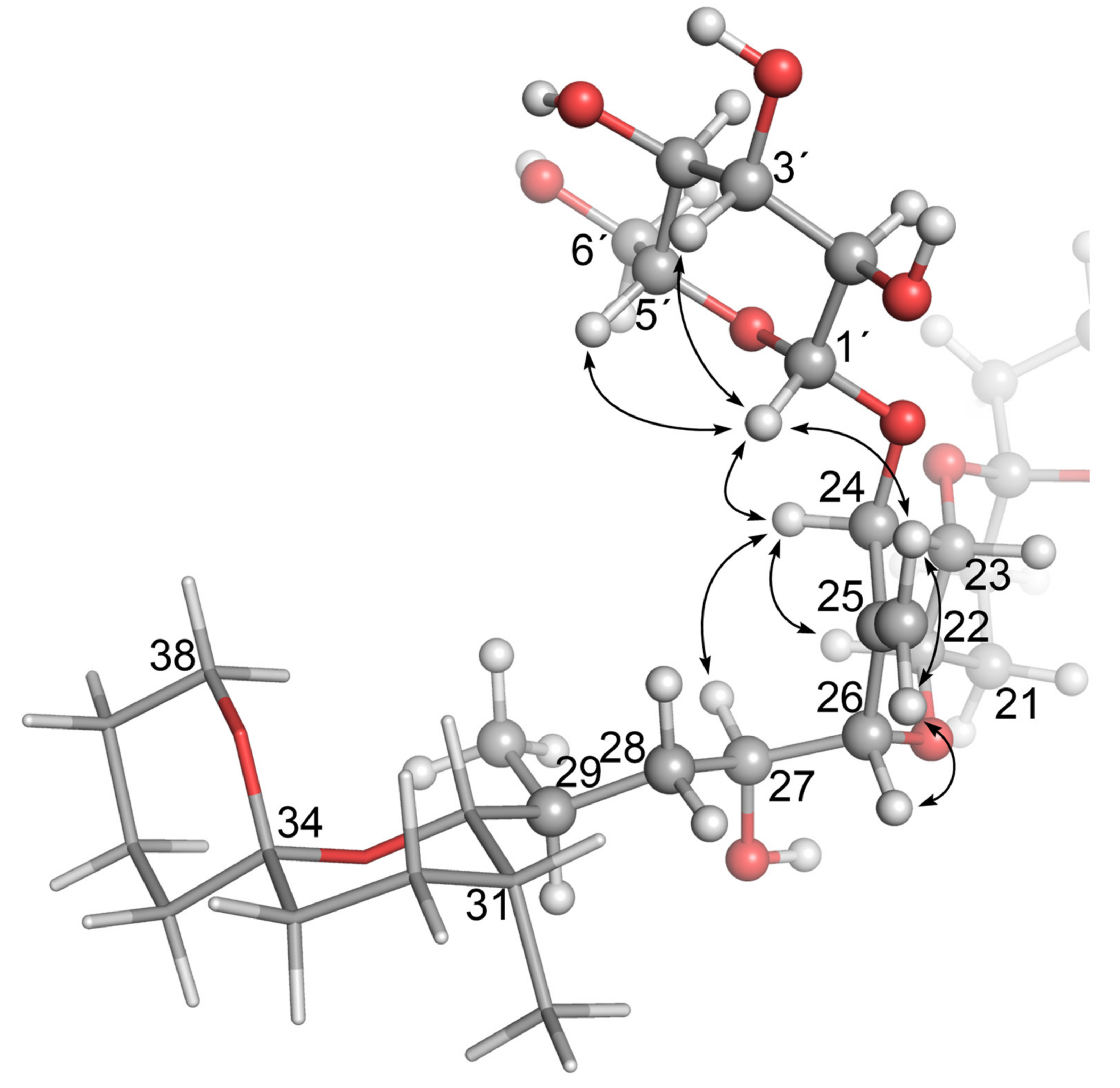 Toxins 13 00510 g006