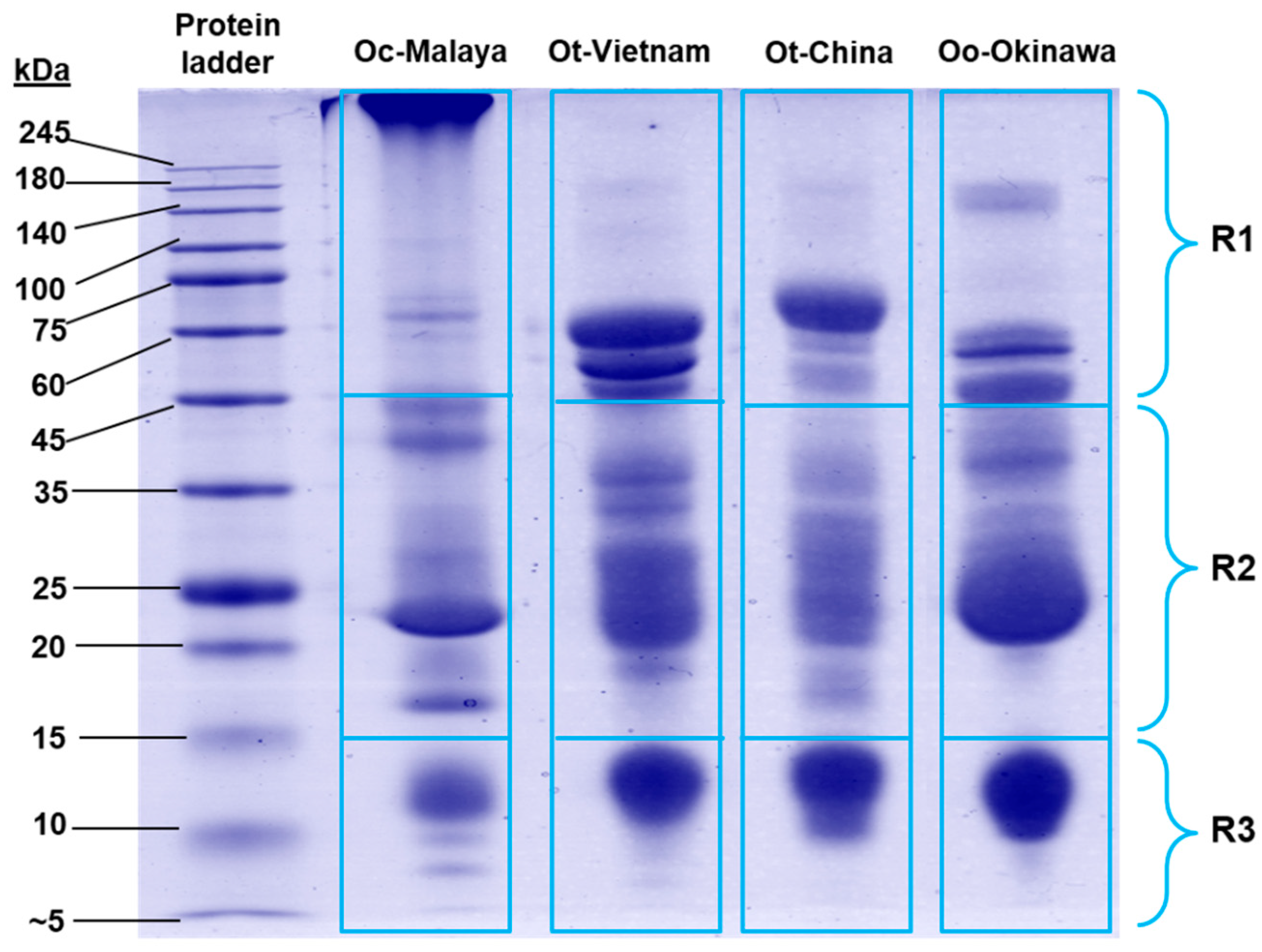 Toxins 13 00514 g002