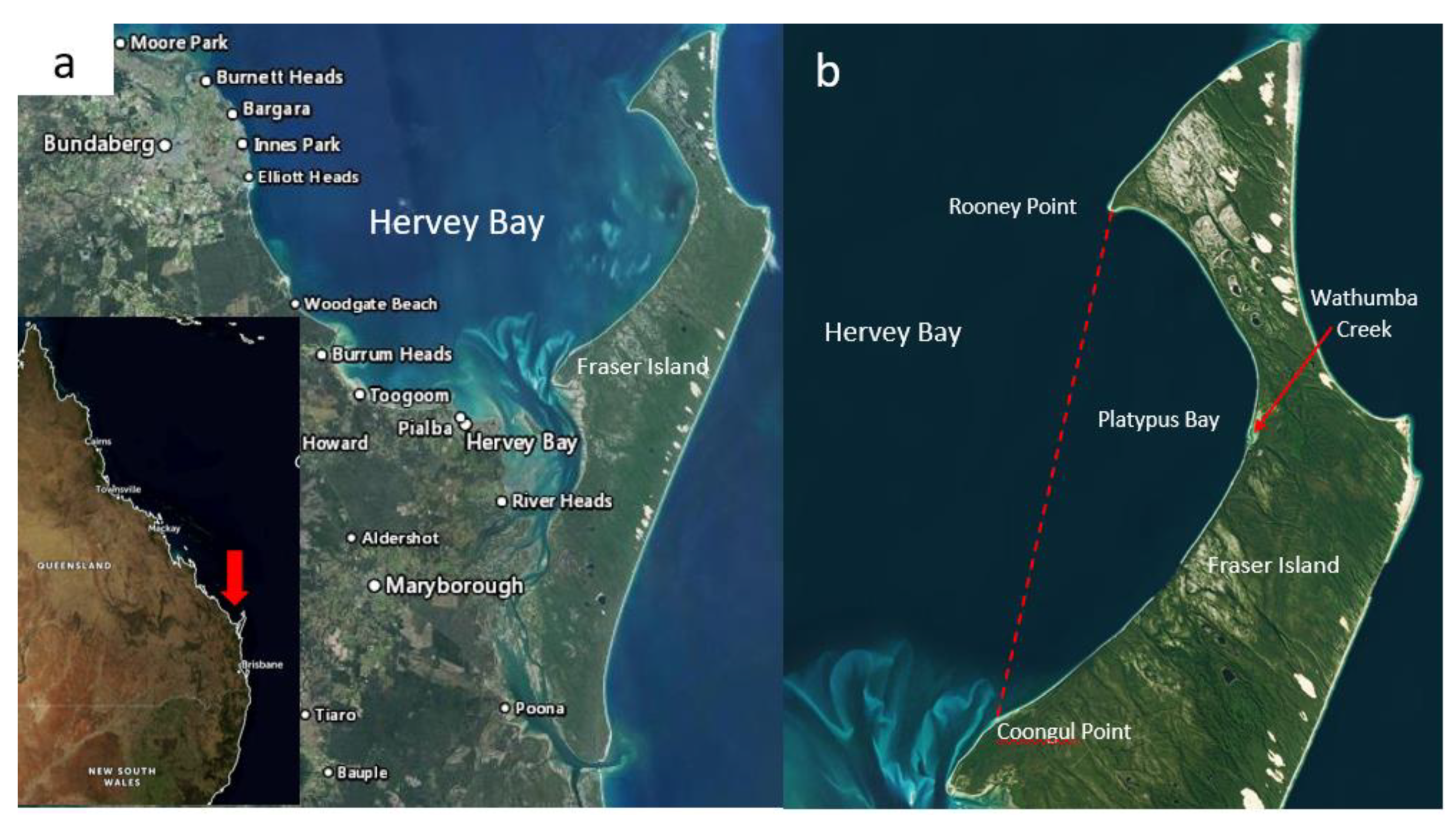 Toxins 13 00515 g002