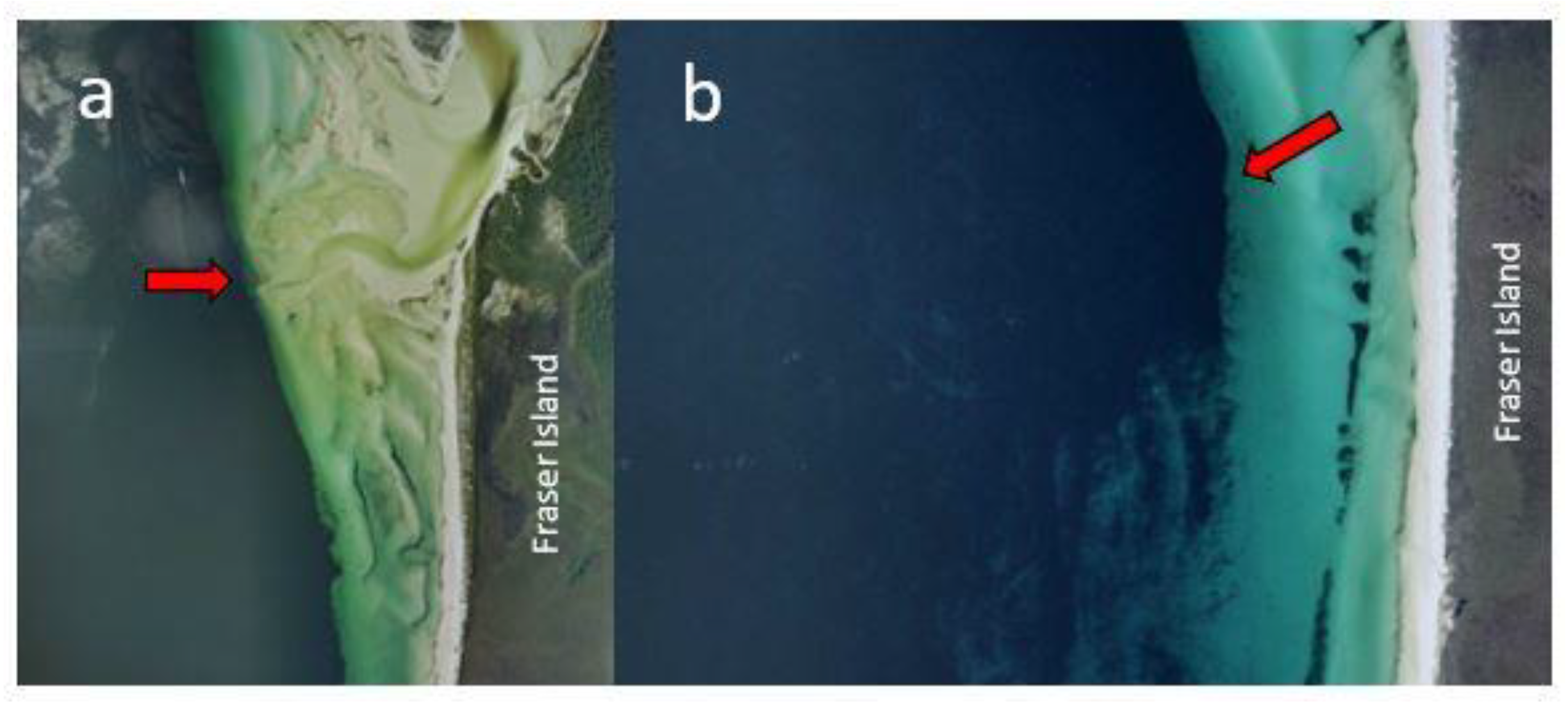 Toxins 13 00515 g003