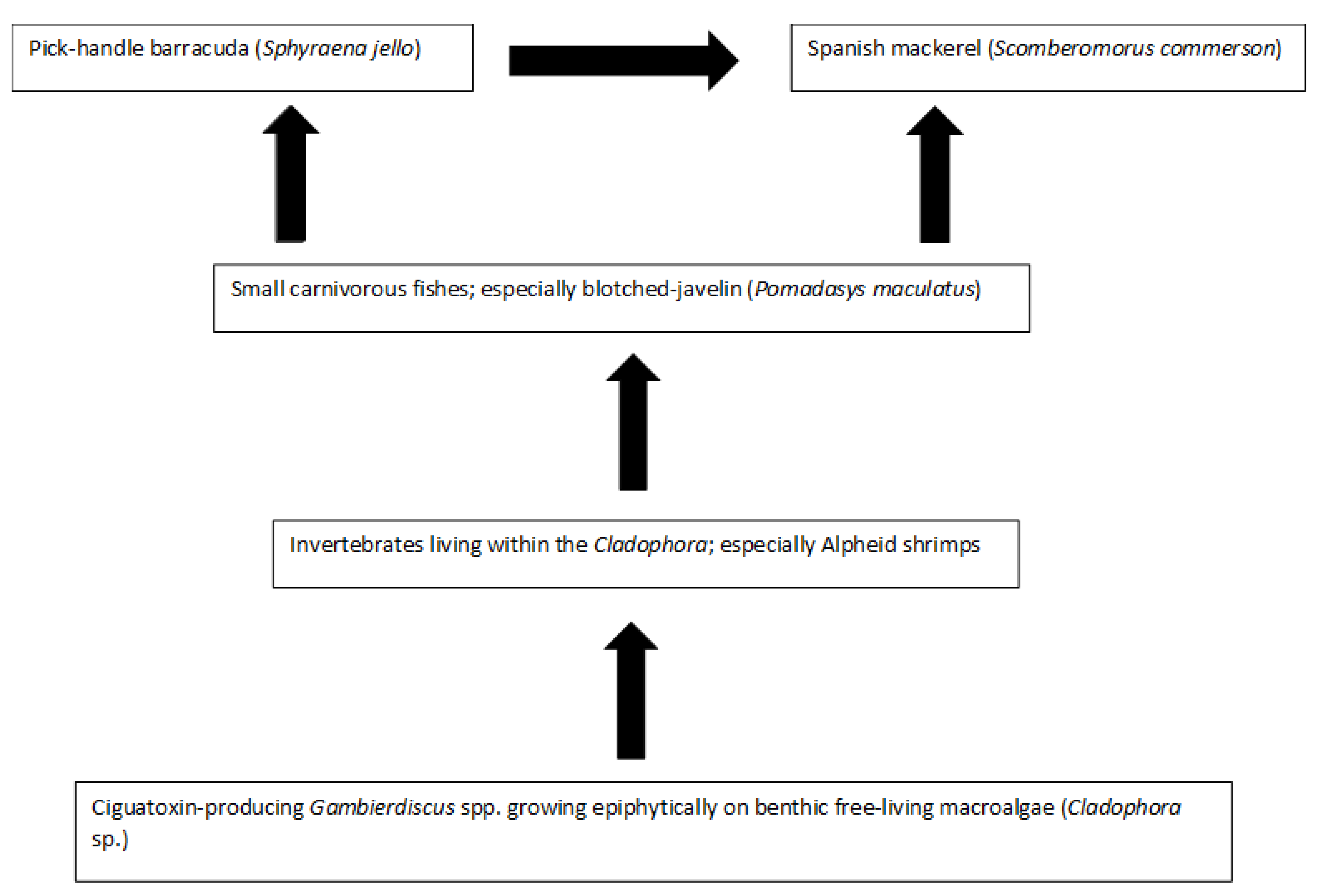 Toxins 13 00515 g004