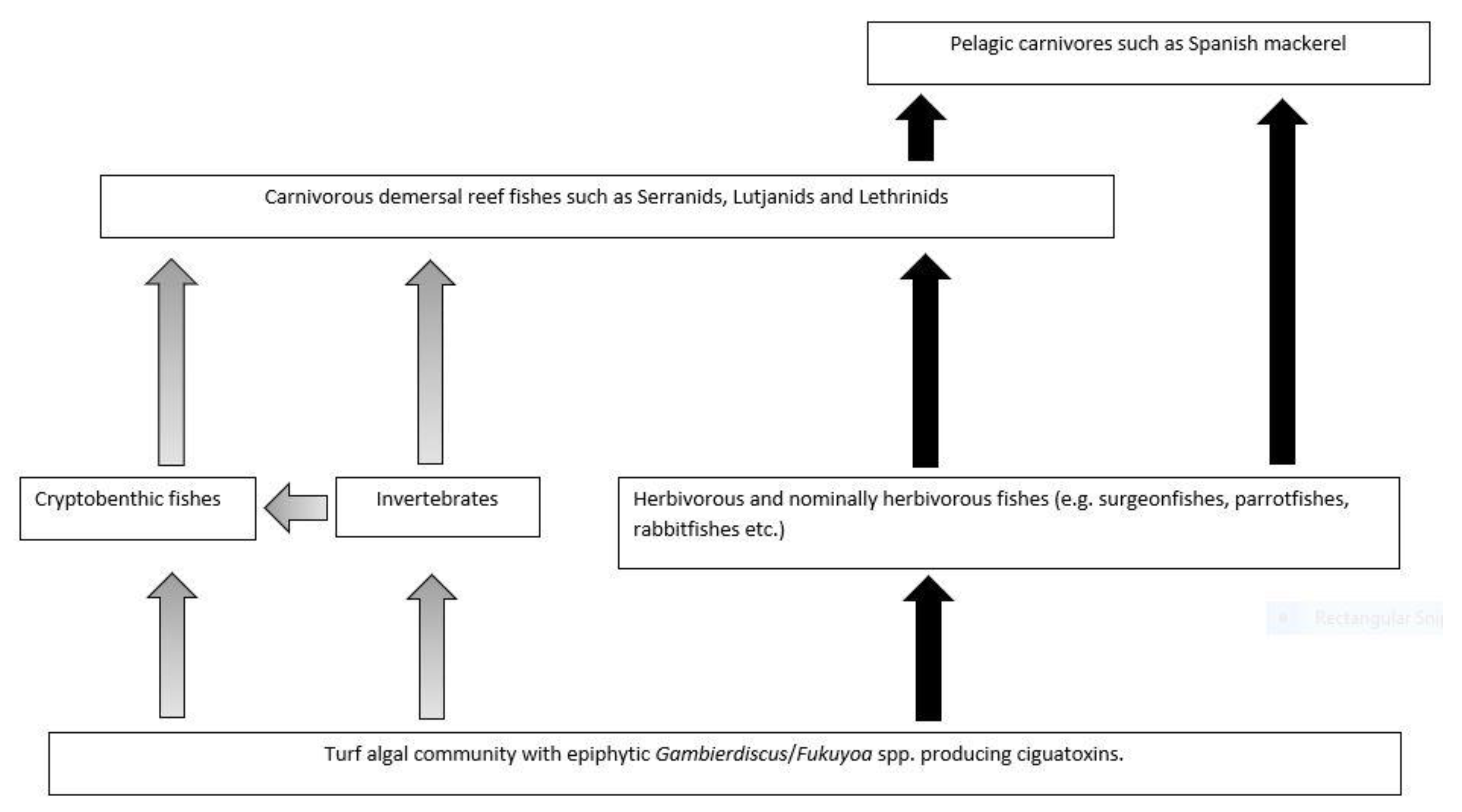 Toxins 13 00515 g010