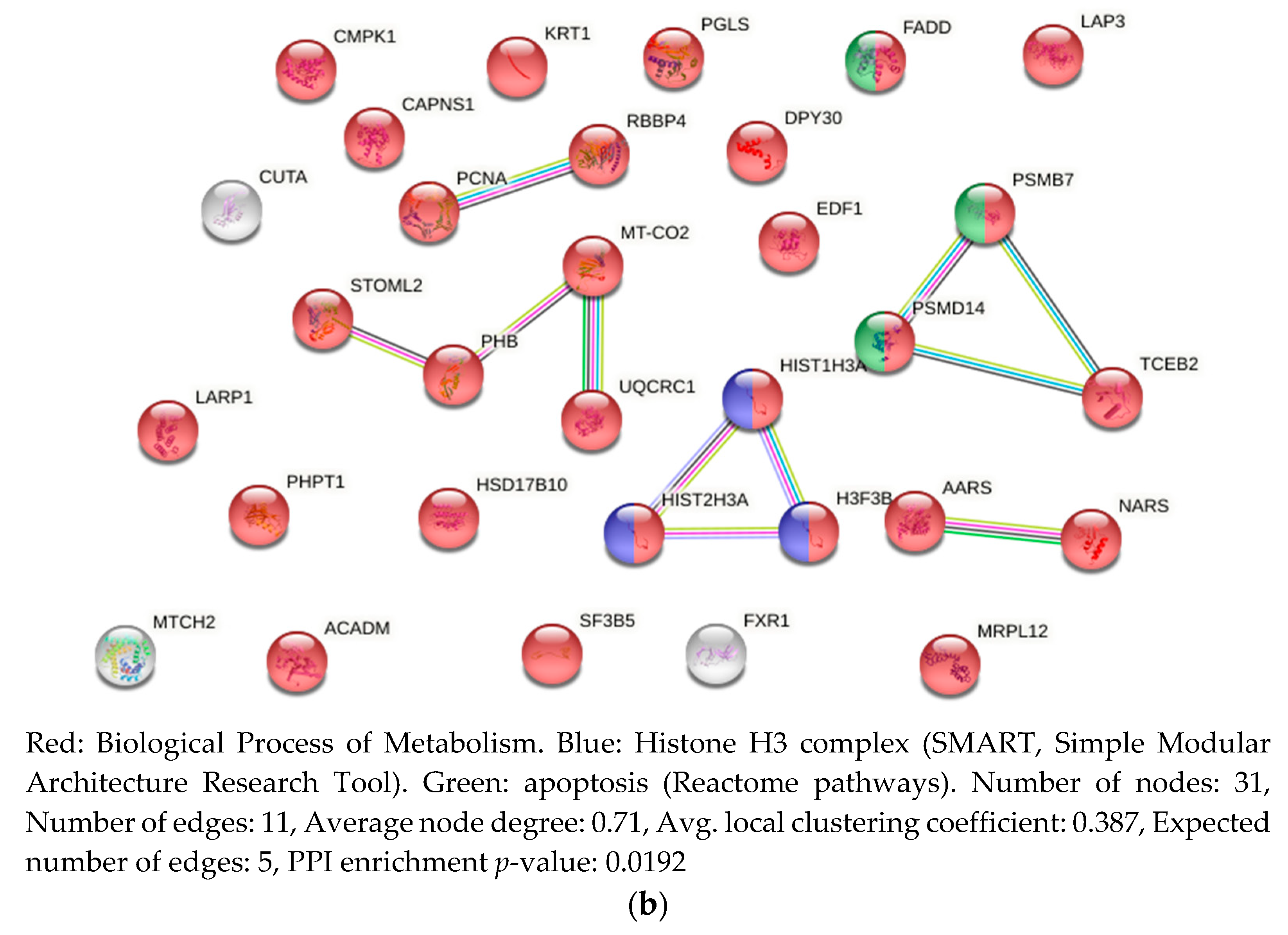 Toxins 13 00519 g005b