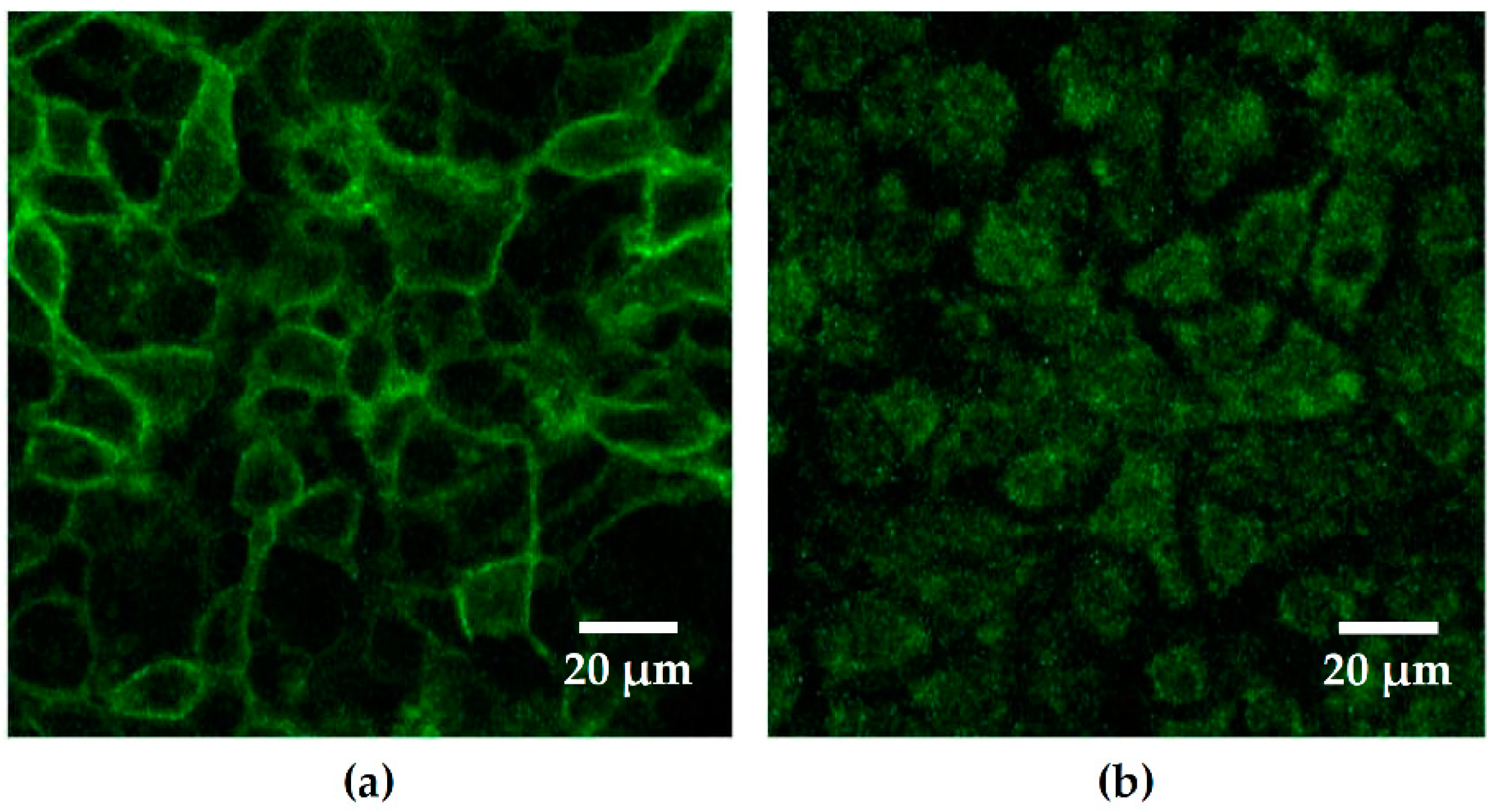 Toxins 13 00520 g002