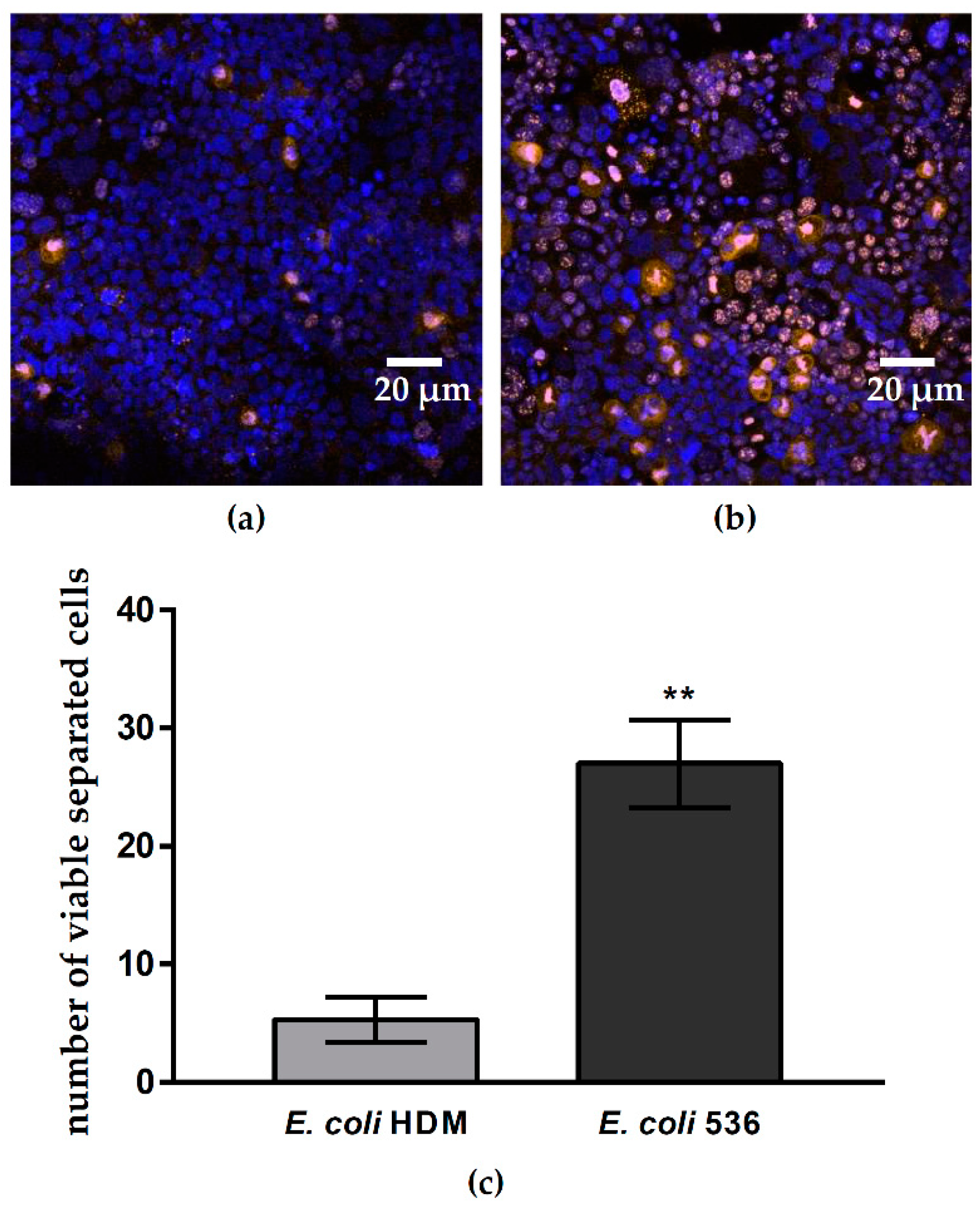 Toxins 13 00520 g008