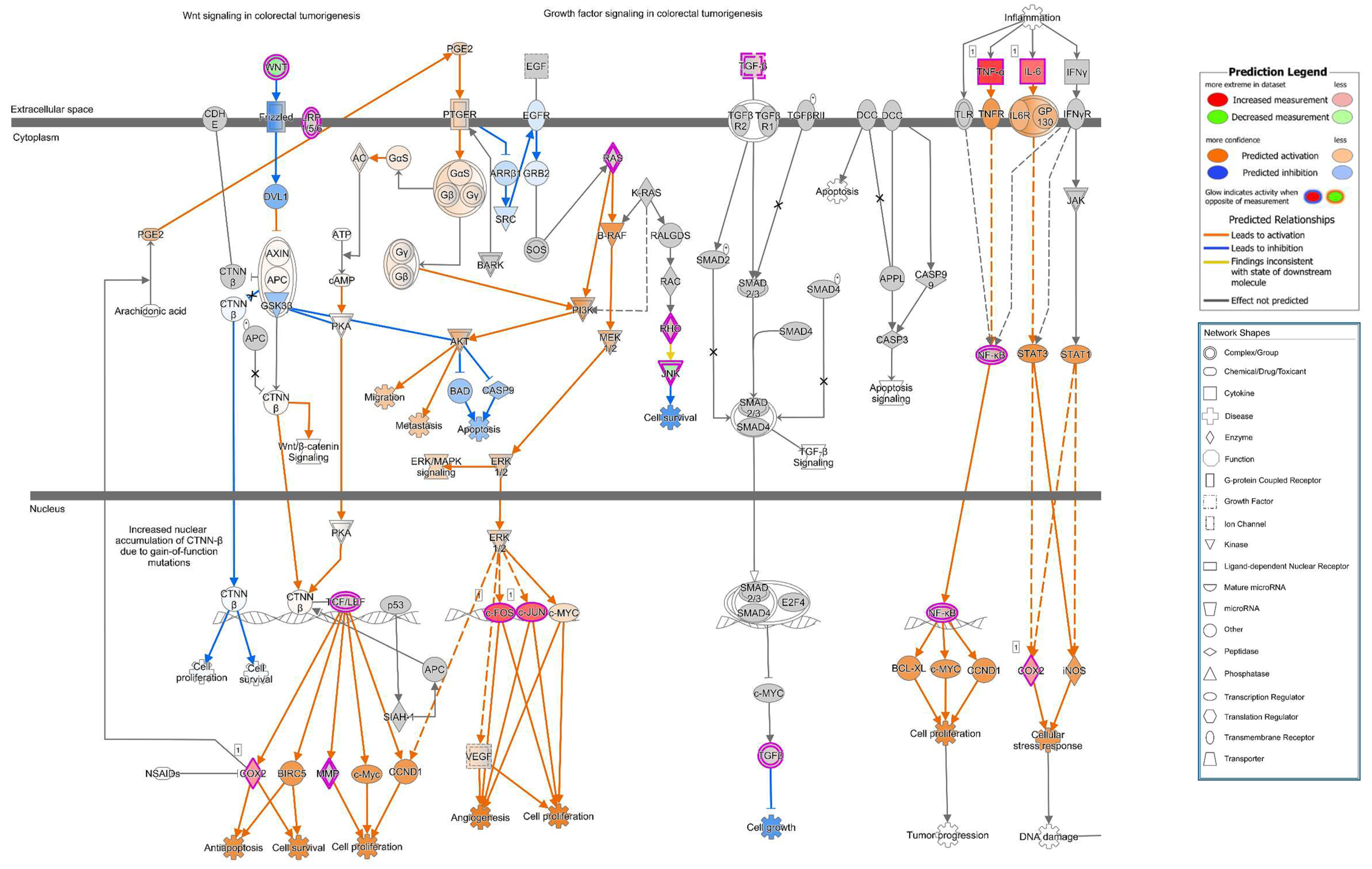 Toxins 13 00520 g009