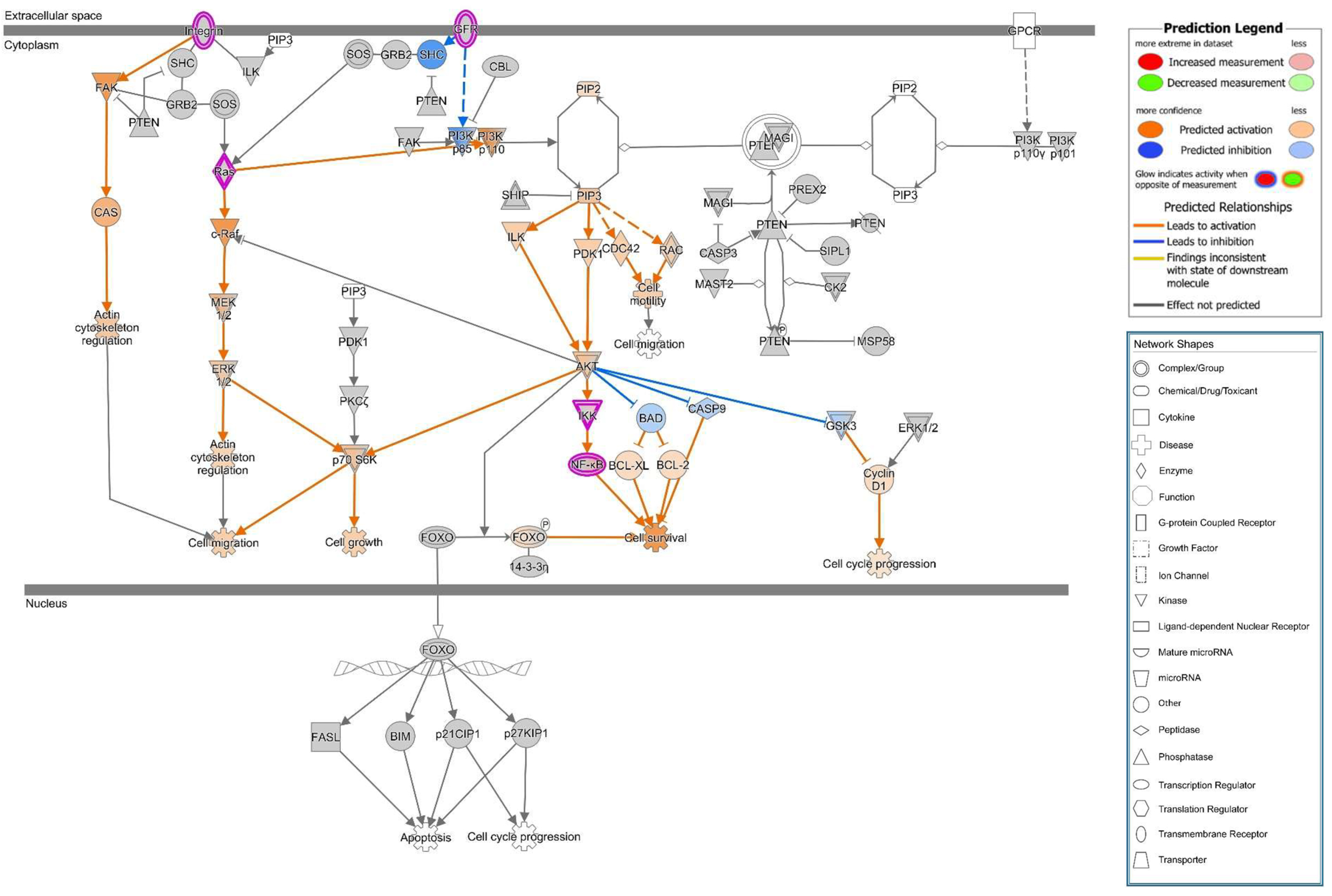 Toxins 13 00520 g010