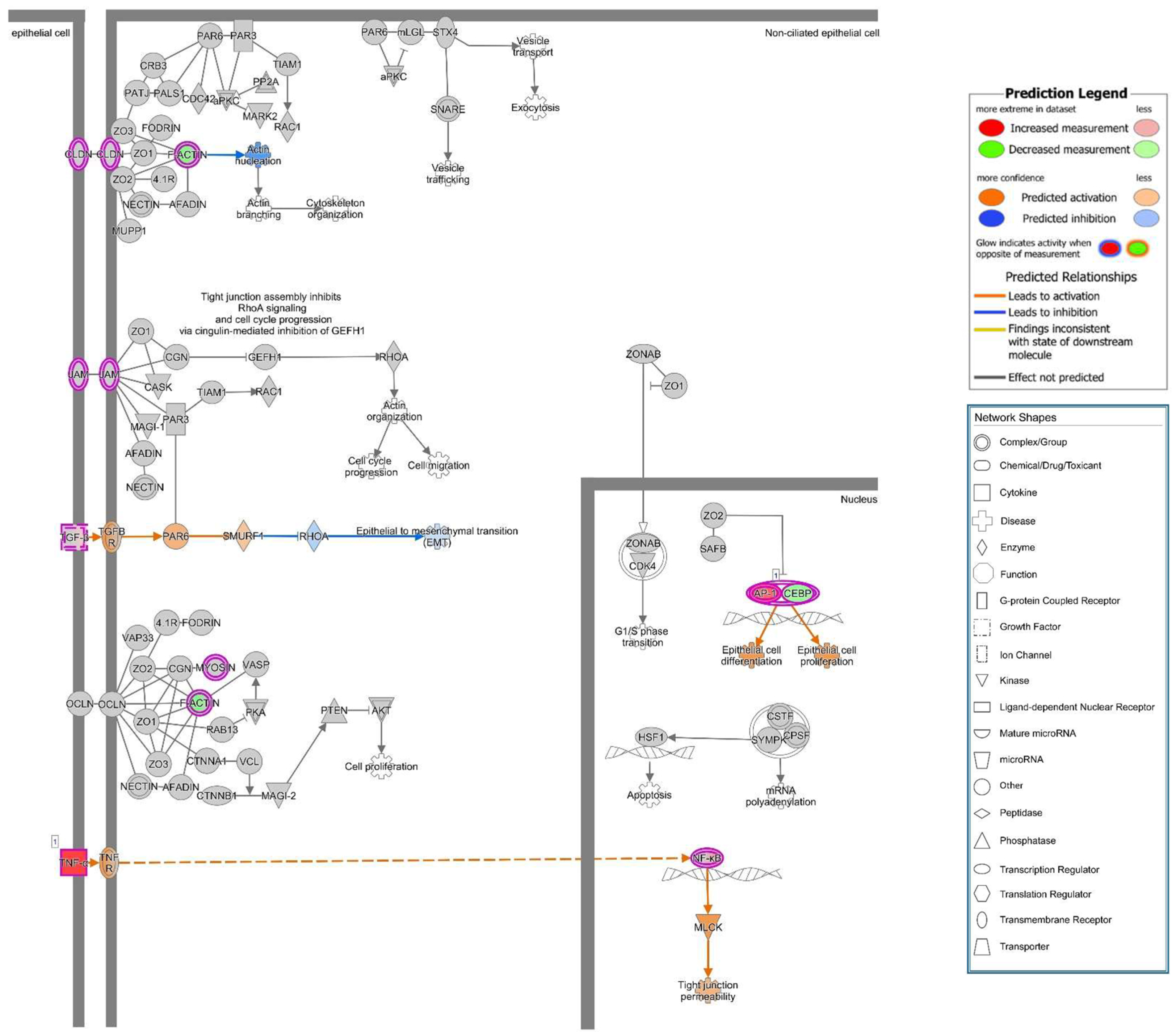 Toxins 13 00520 g011