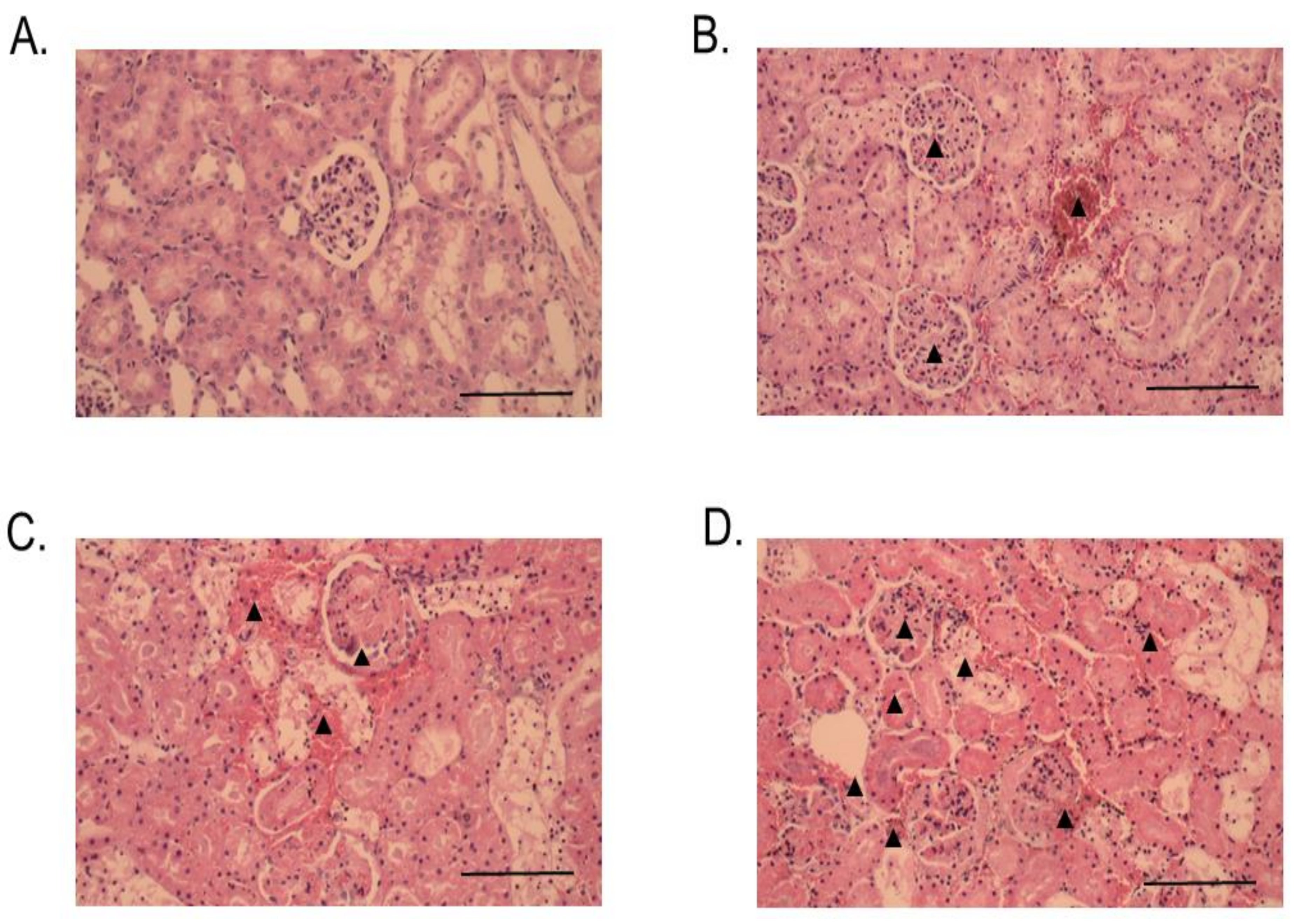 Toxins 13 00521 g008