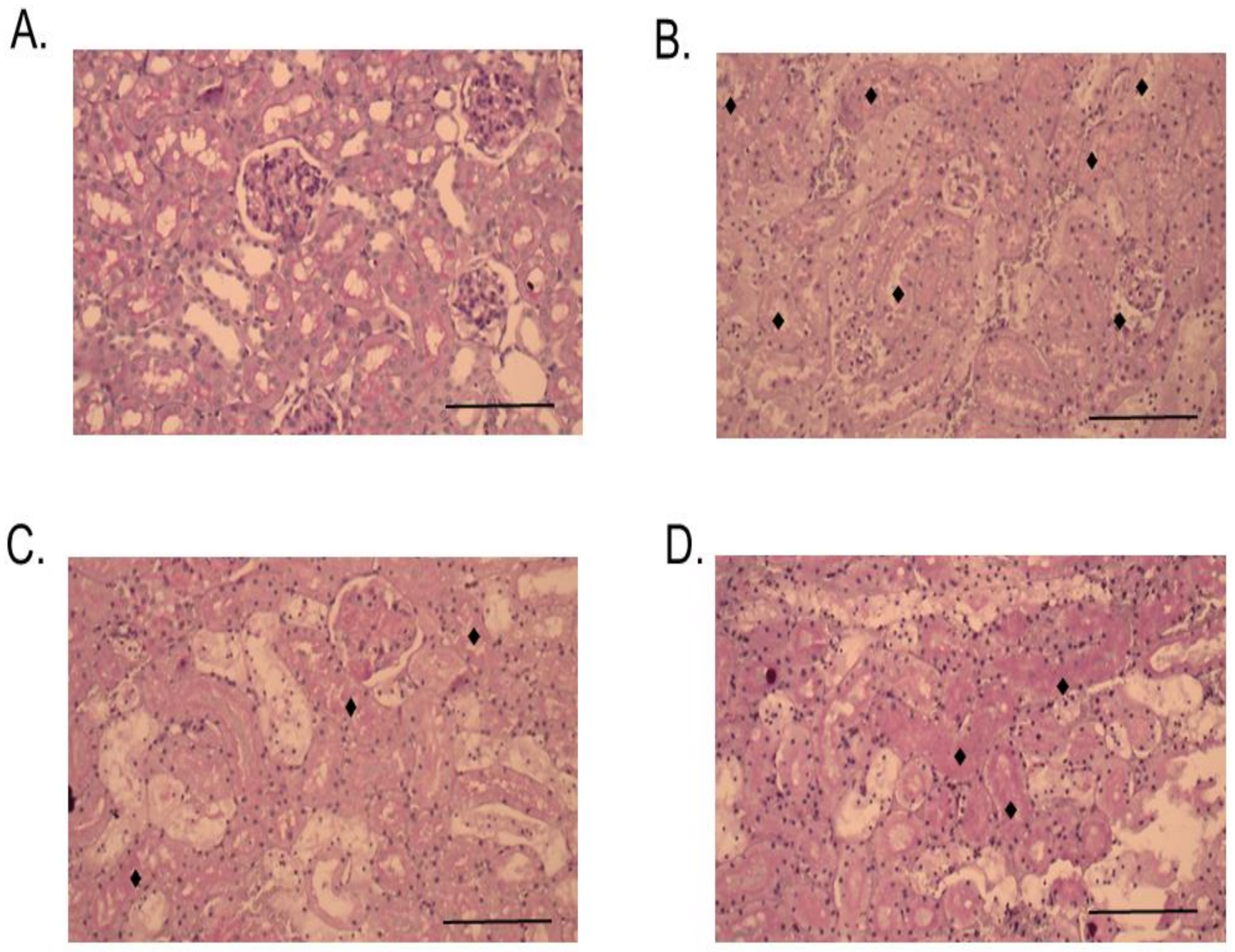 Toxins 13 00521 g009