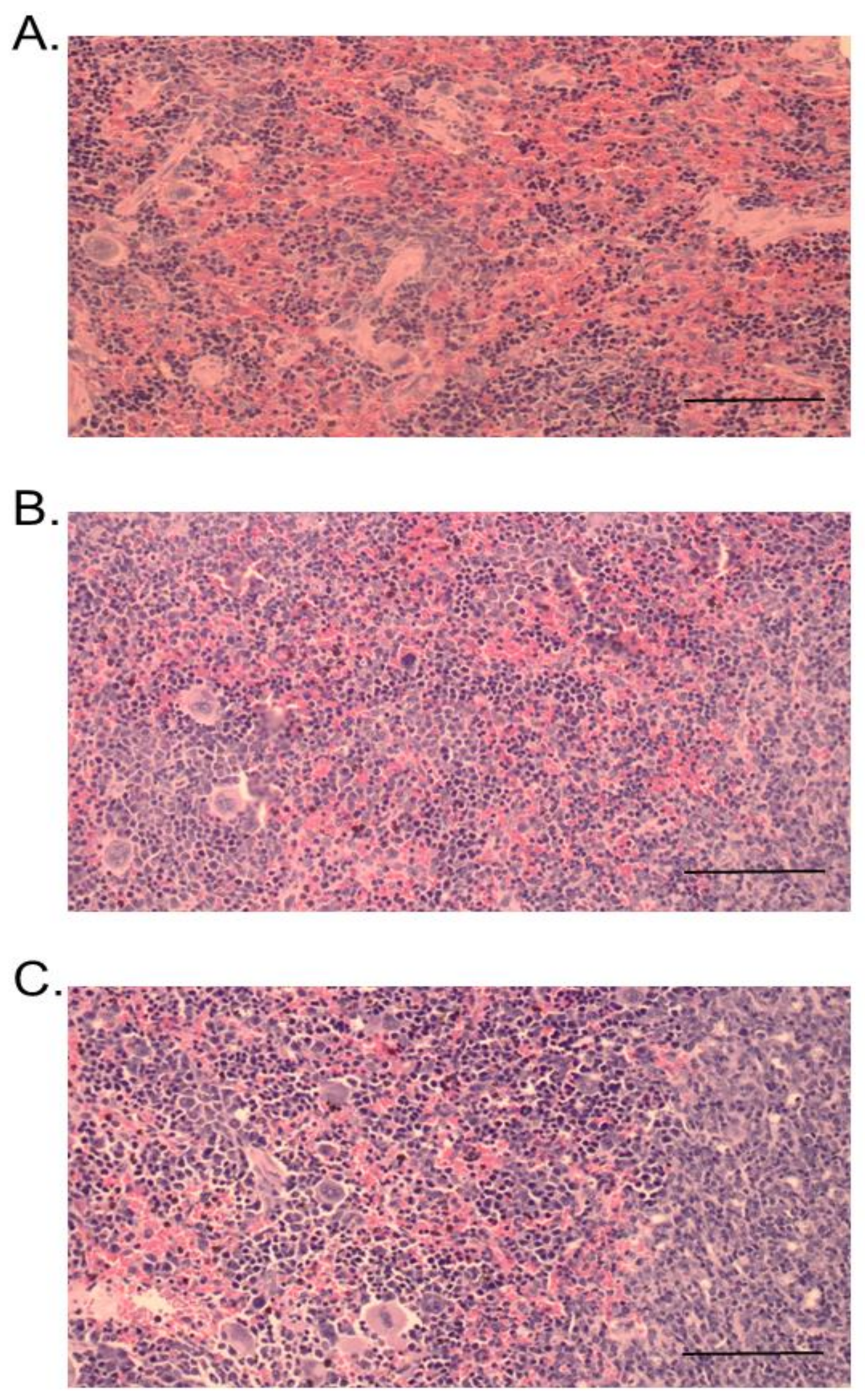 Toxins 13 00521 g011