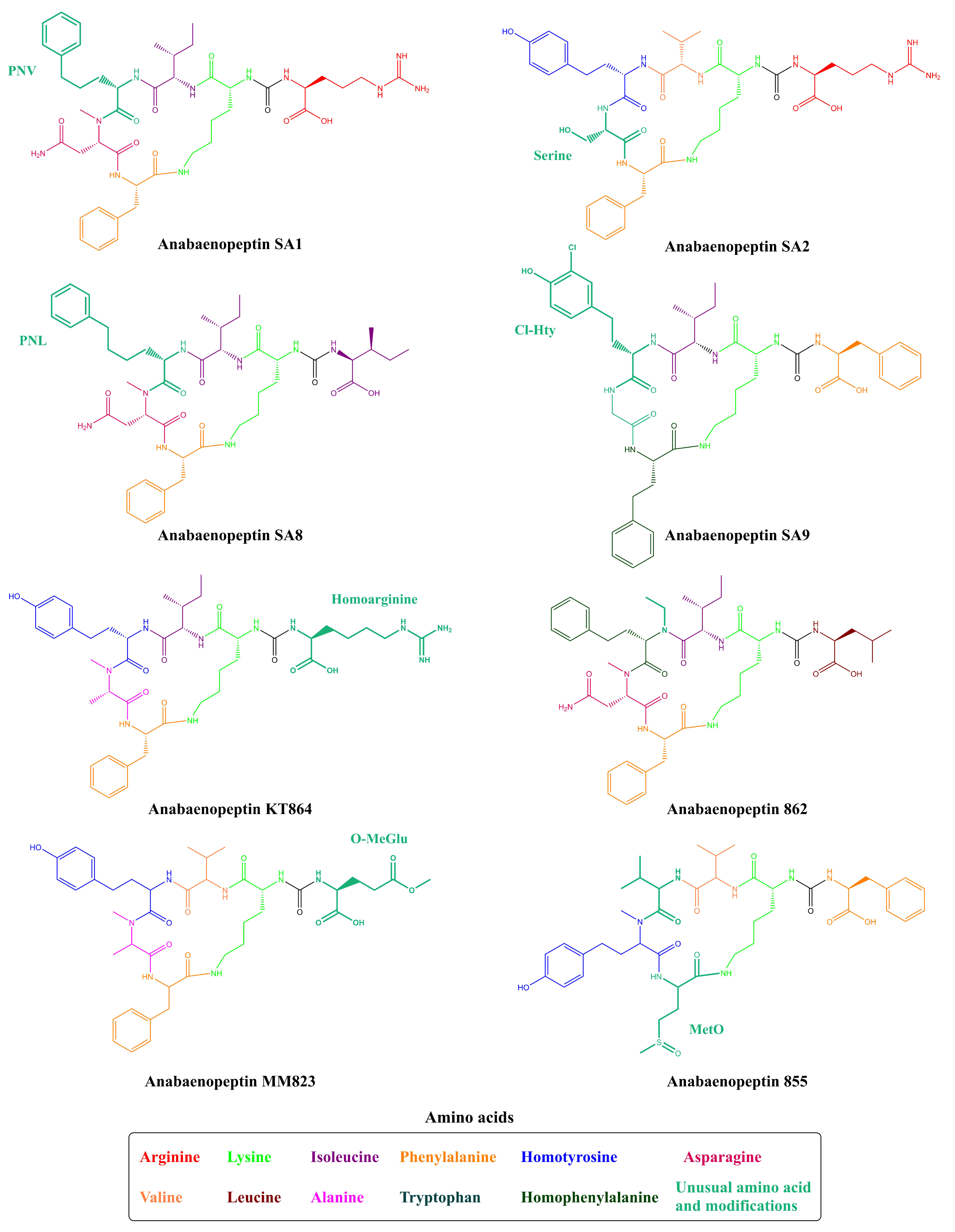 Toxins 13 00522 g005
