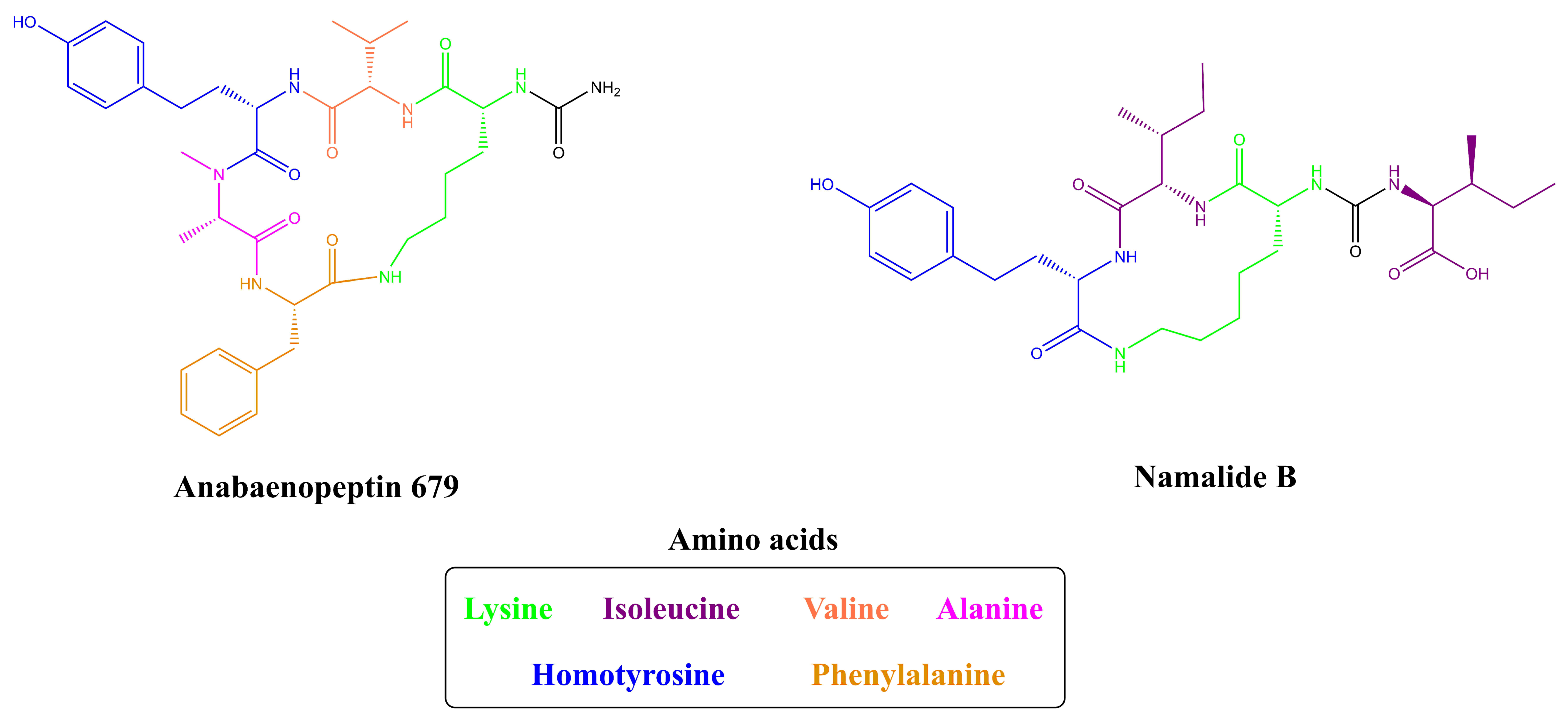 Toxins 13 00522 g006