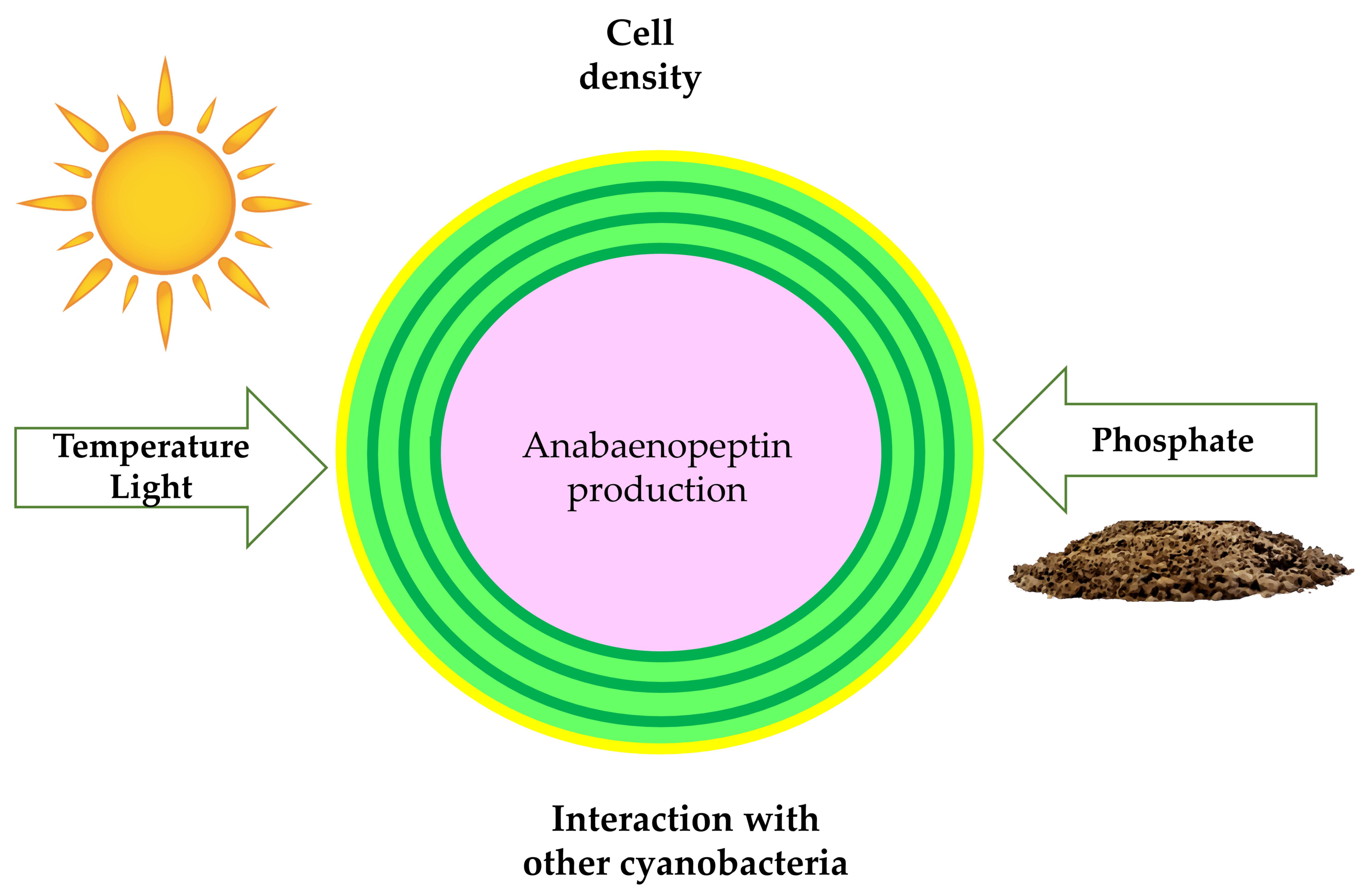 Toxins 13 00522 g009