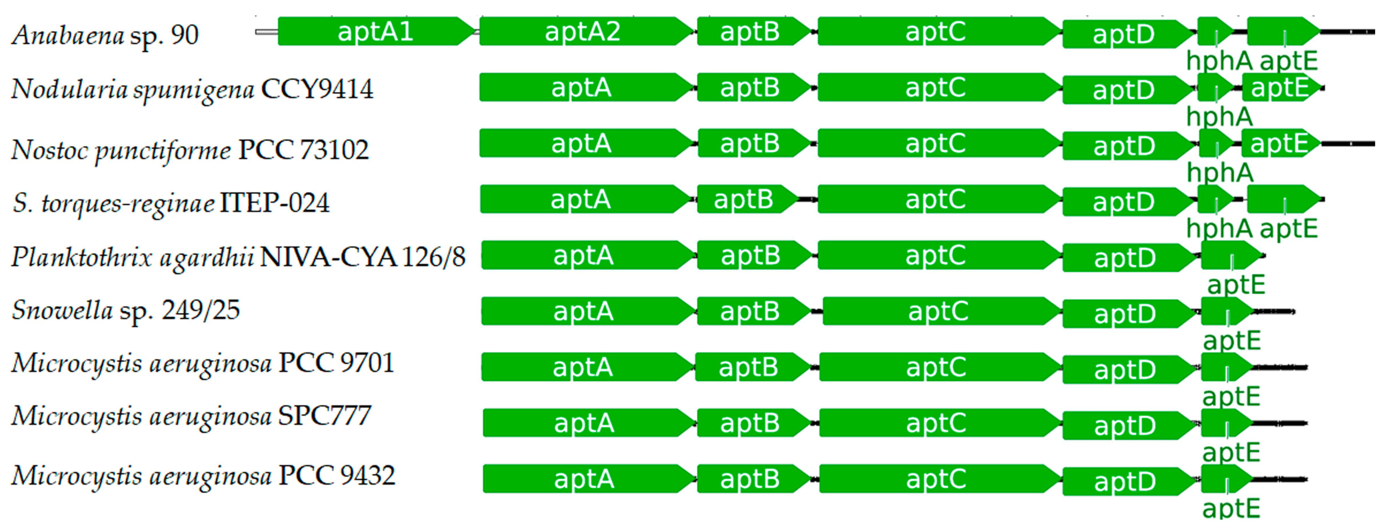 Toxins 13 00522 g010