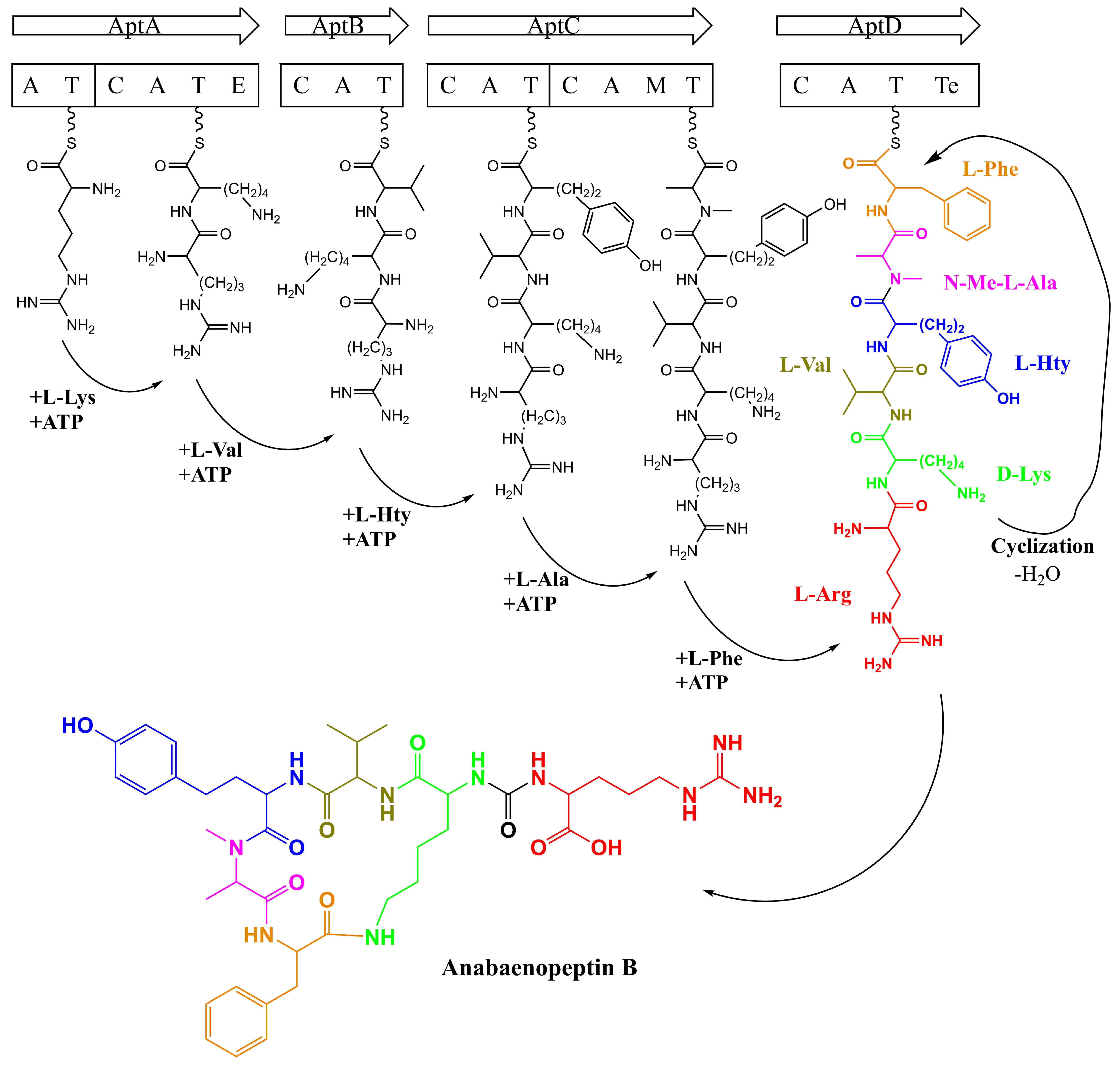 Toxins 13 00522 g011