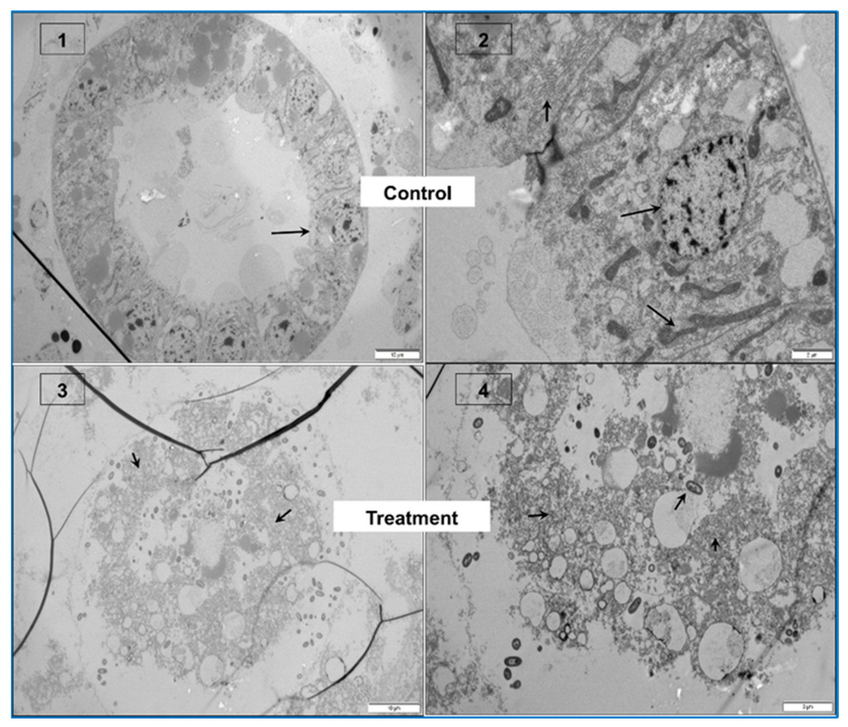 Toxins 13 00524 g004b