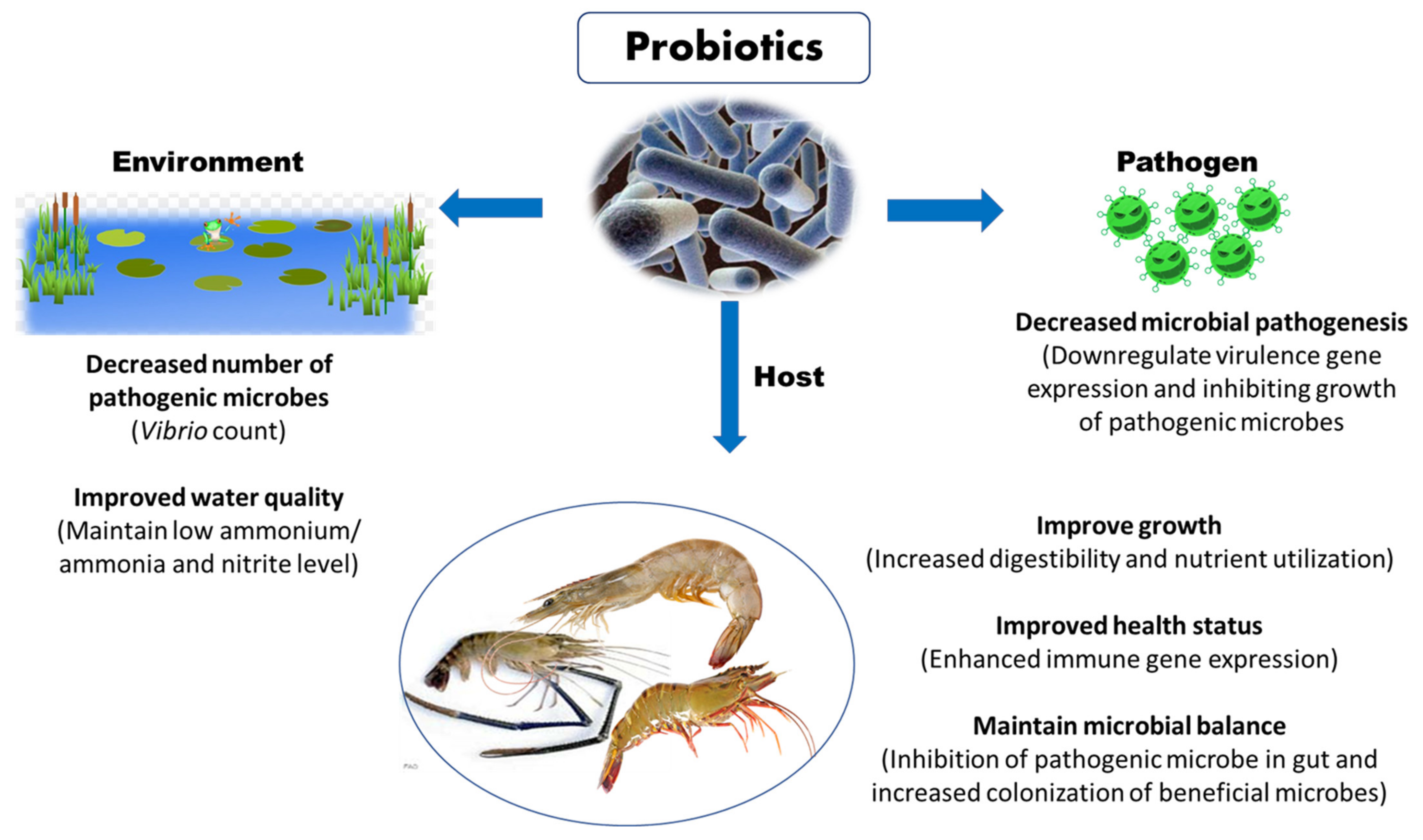 Toxins 13 00524 g005