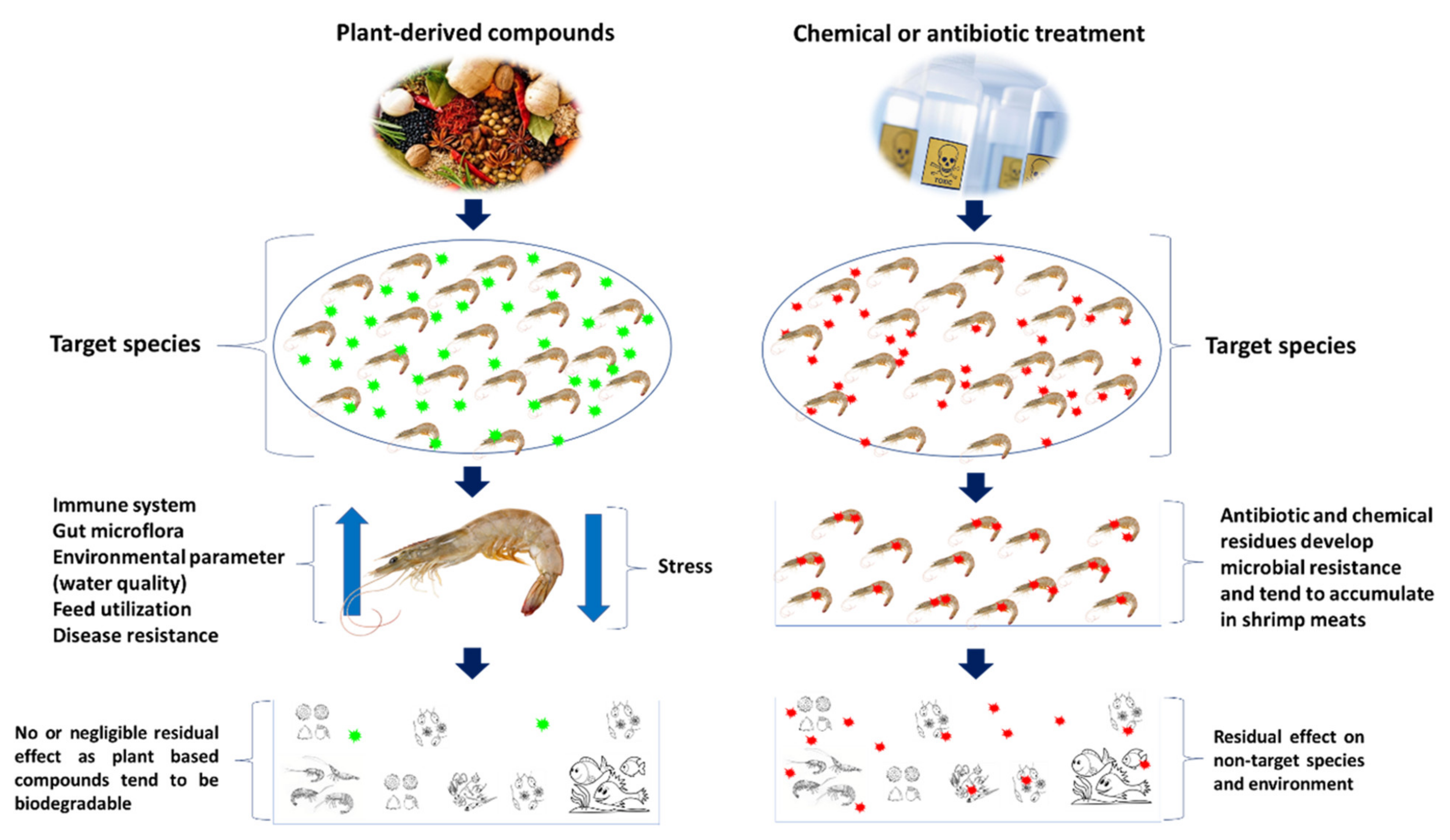Toxins 13 00524 g007
