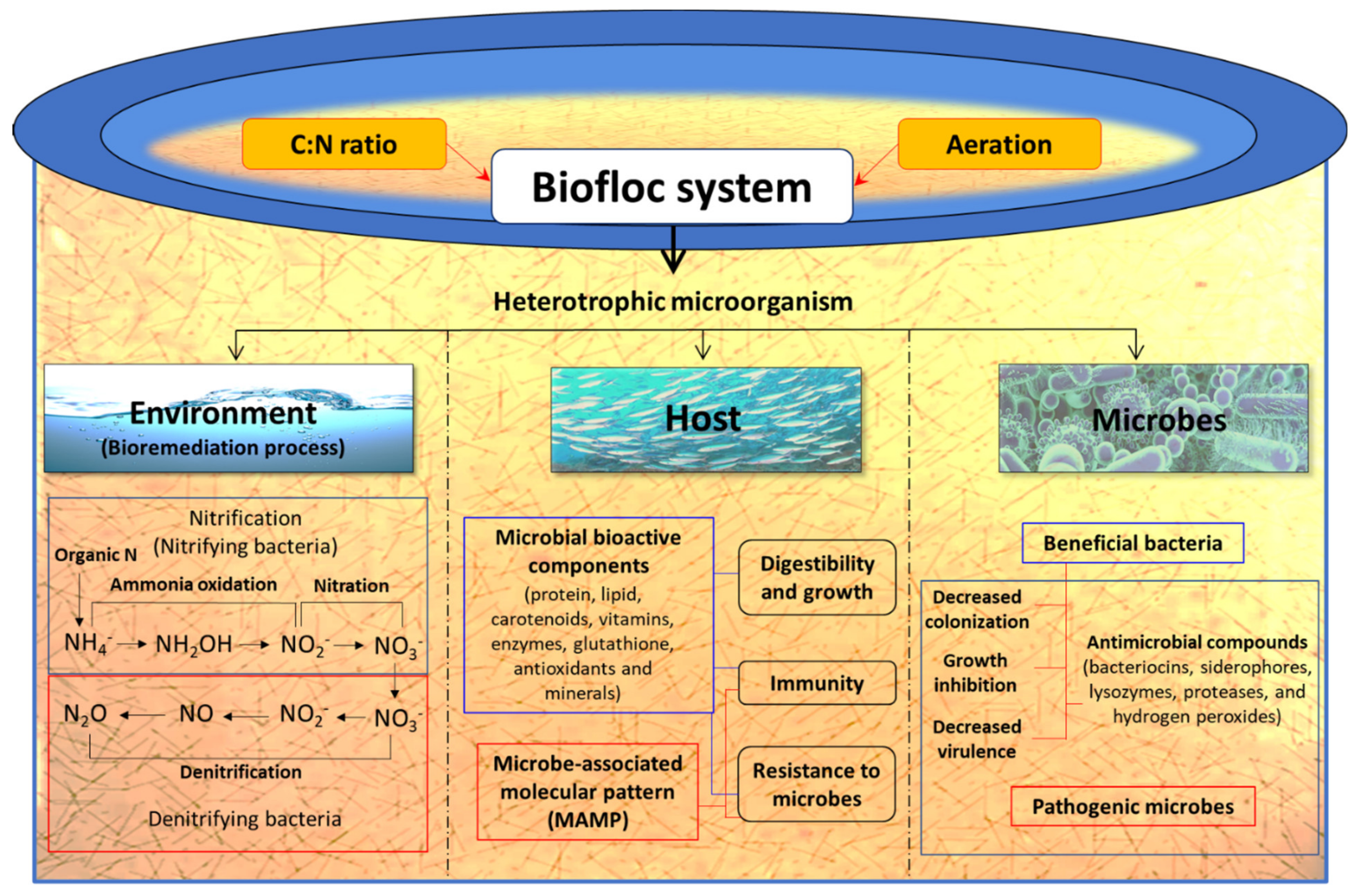 Toxins 13 00524 g008