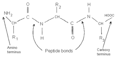 Toxins 13 00524 i004