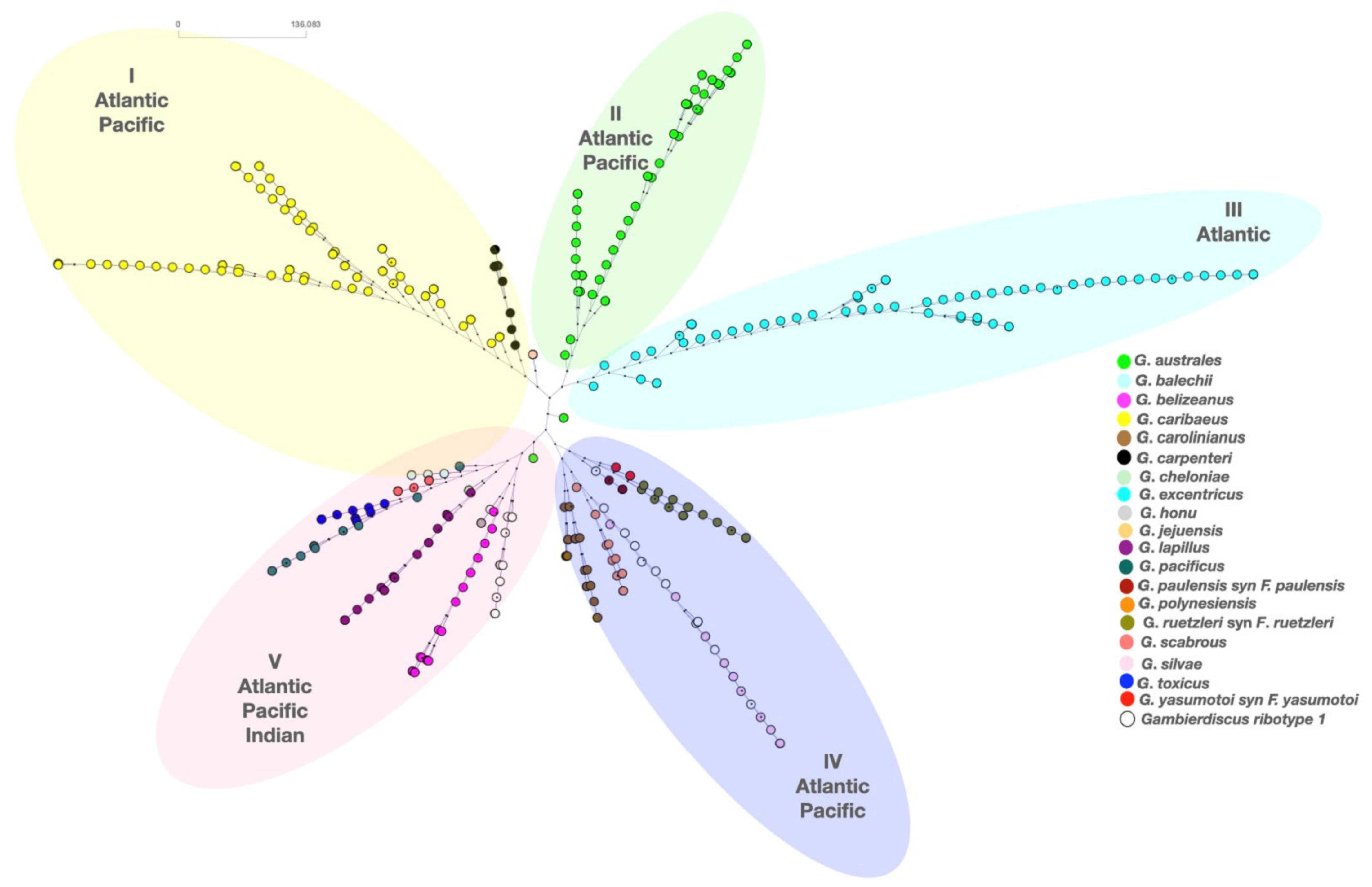 Toxins 13 00525 g008