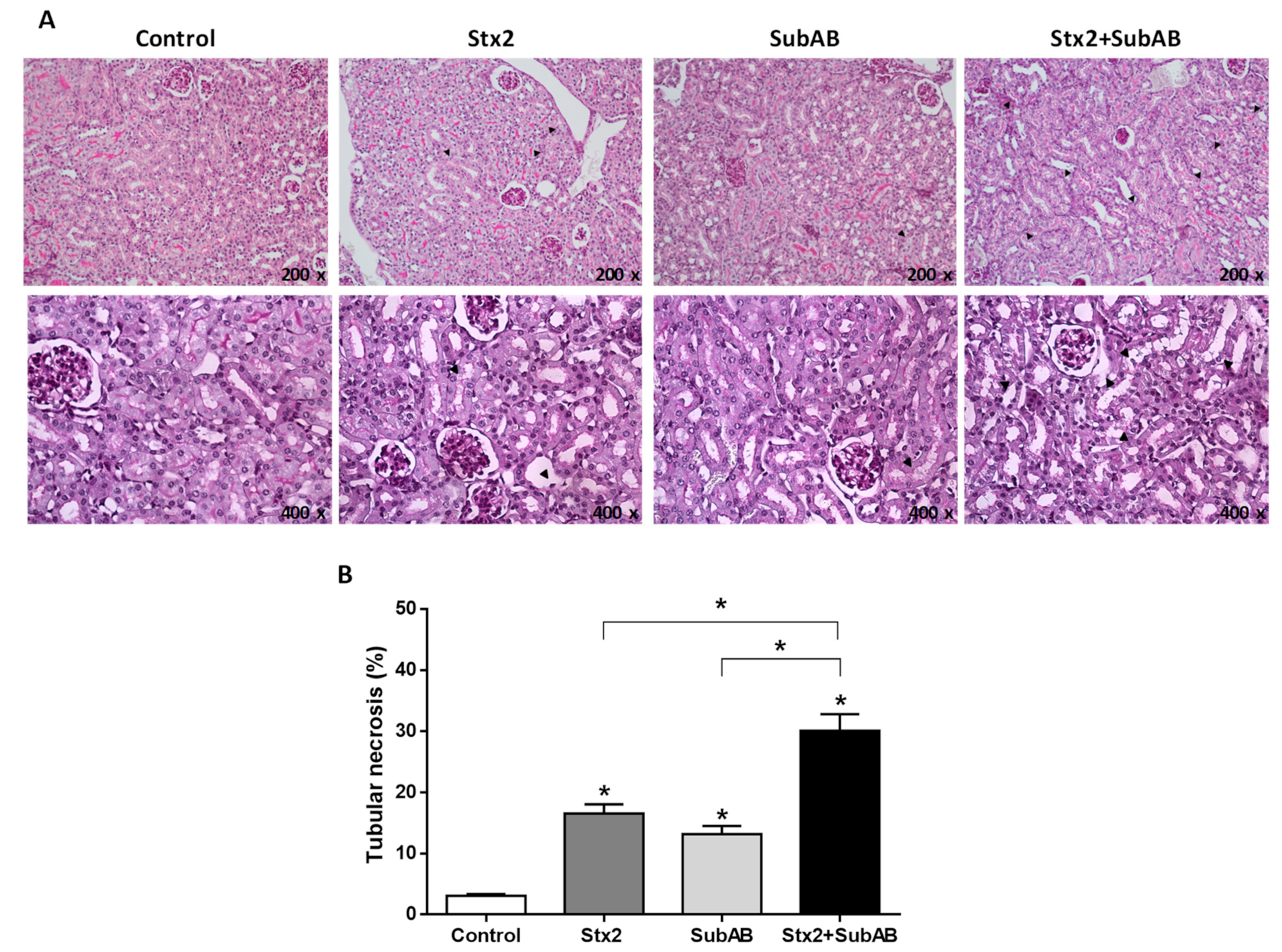 Toxins 13 00536 g005