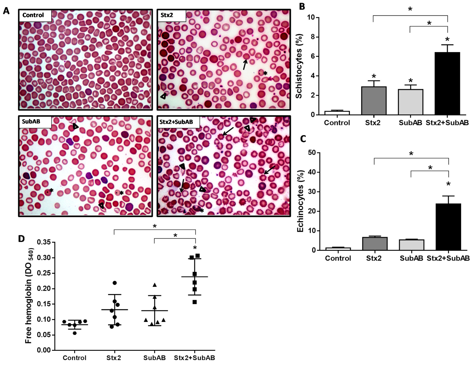 Toxins 13 00536 g007