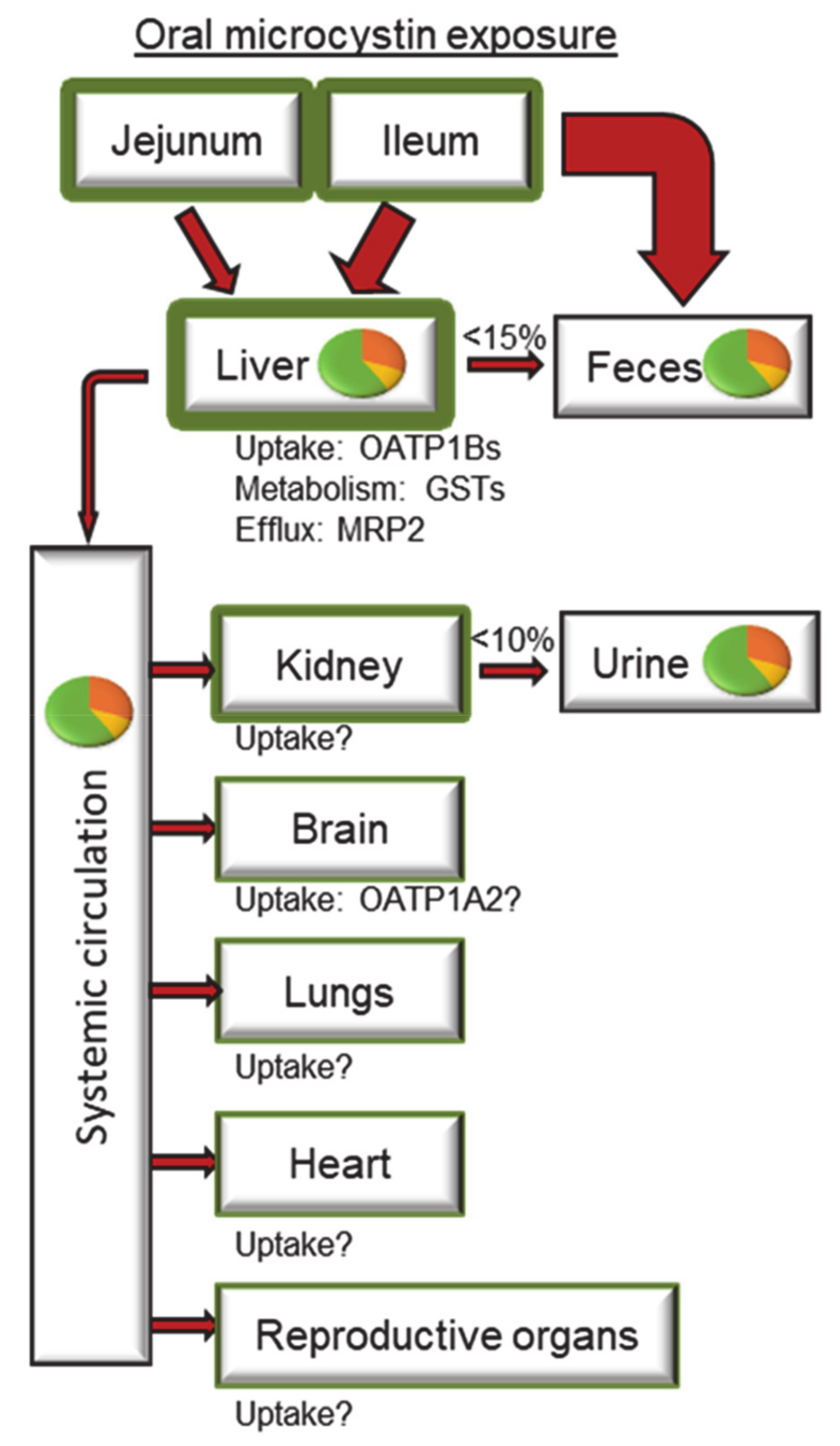 Toxins 13 00537 g002