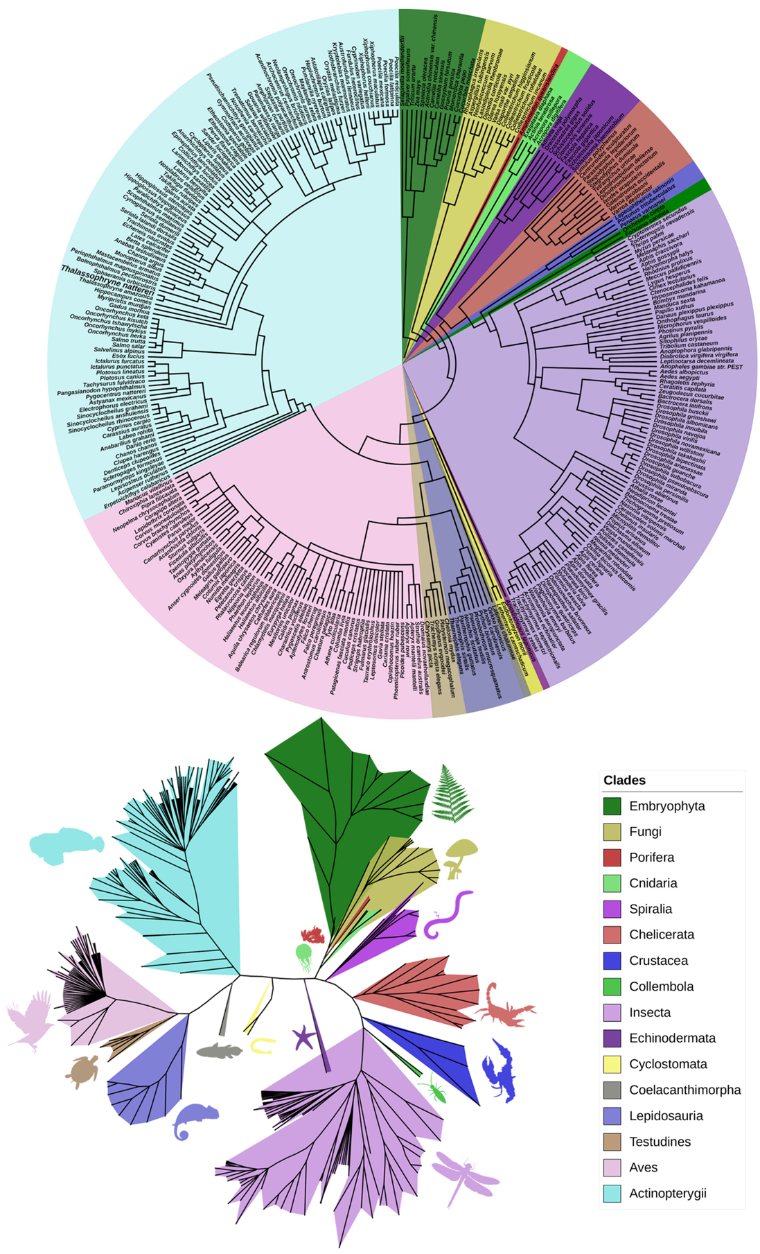Toxins 13 00538 g001