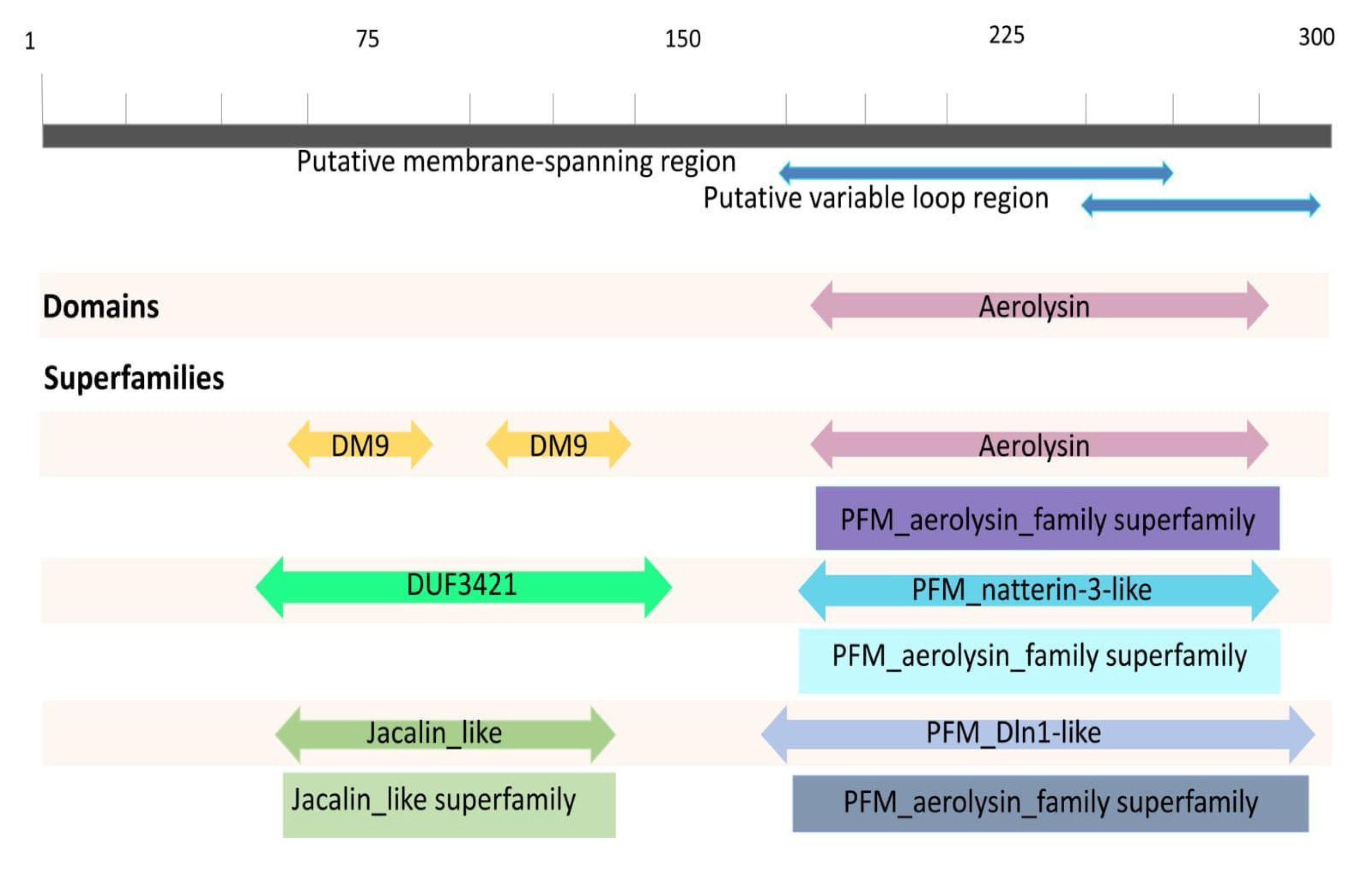 Toxins 13 00538 g006