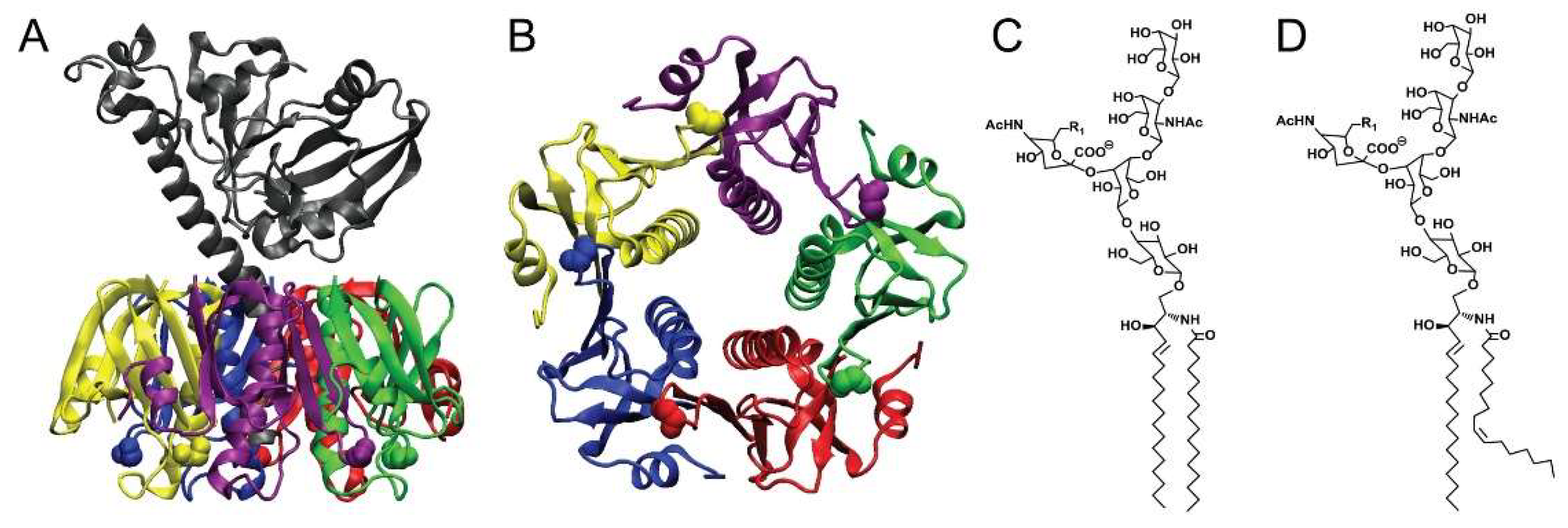 Toxins 13 00543 g001 Toxins 13 00543 g001