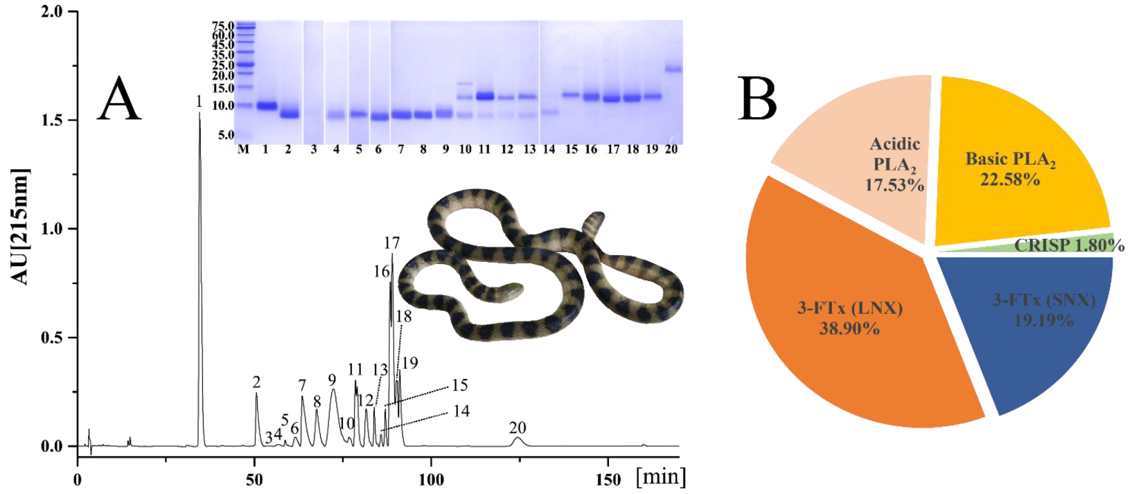 Toxins 13 00548 g001