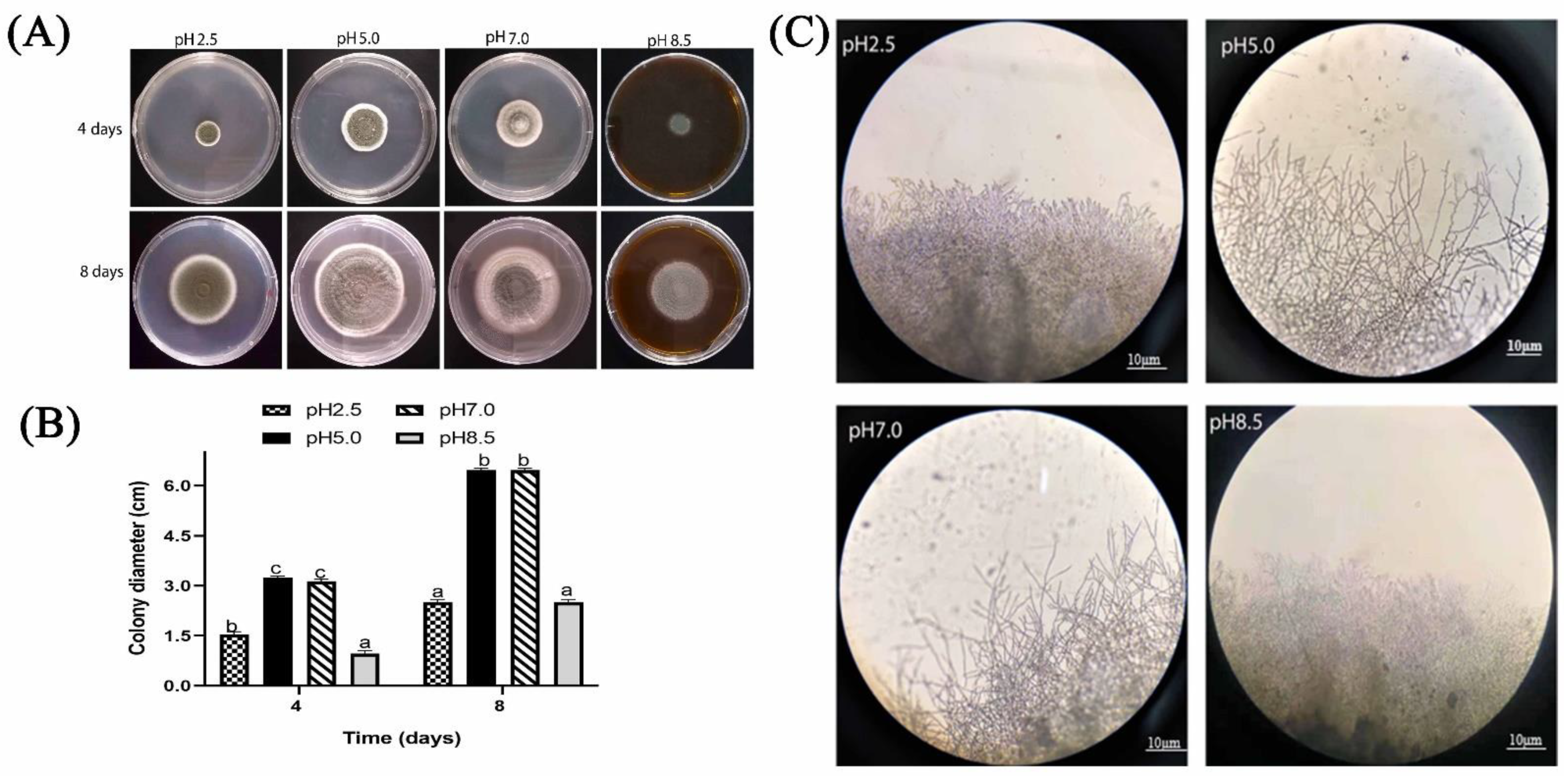 Toxins 13 00550 g002