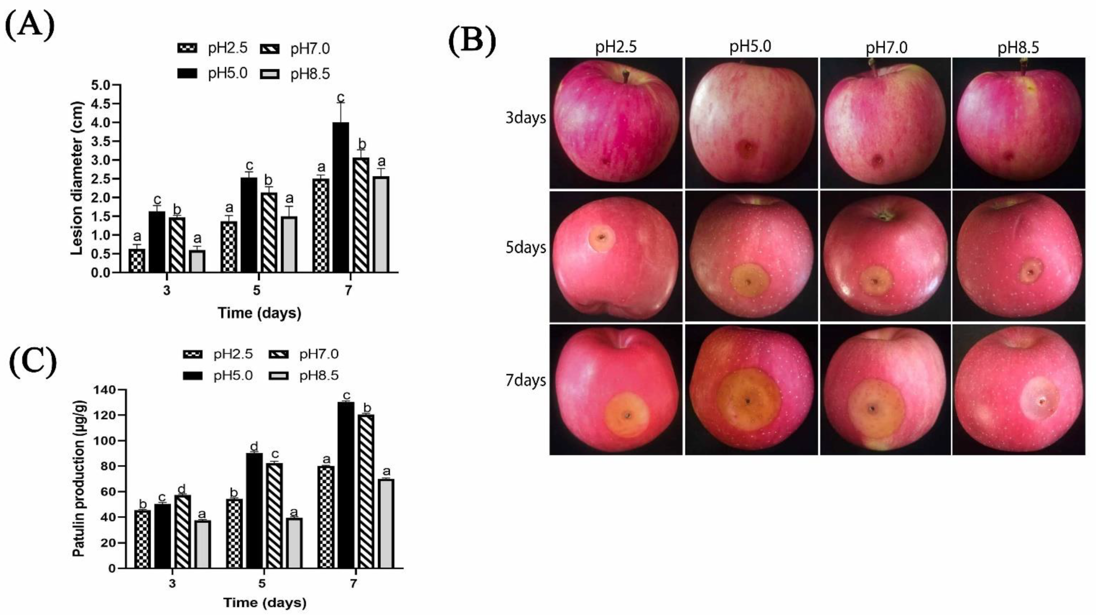 Toxins 13 00550 g006