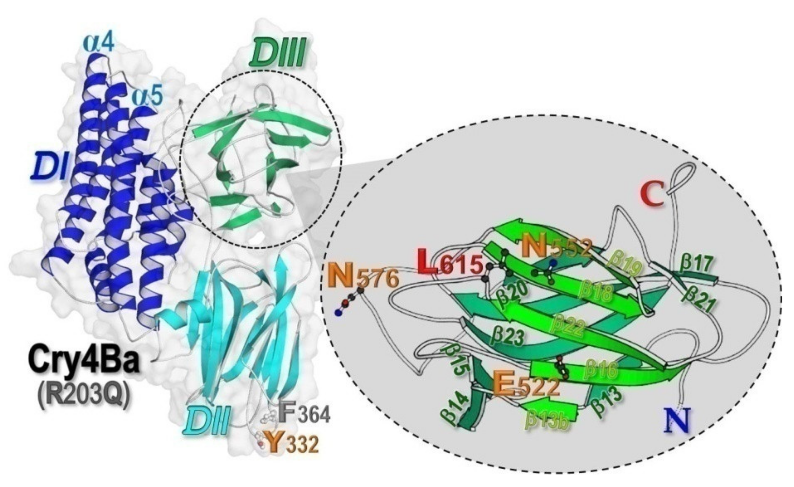 Toxins 13 00553 g001 Toxins 13 00553 g001