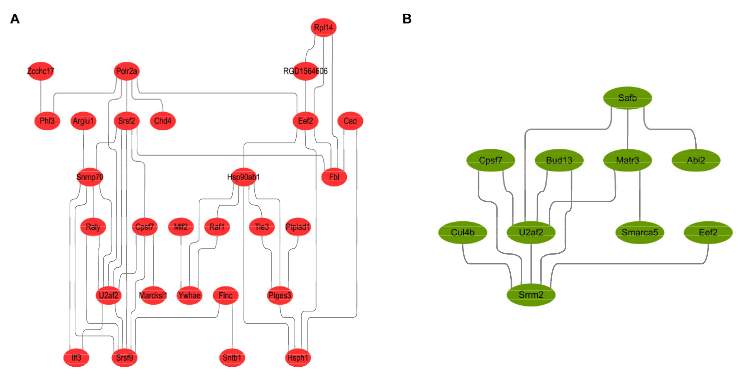 Toxins 13 00554 g006