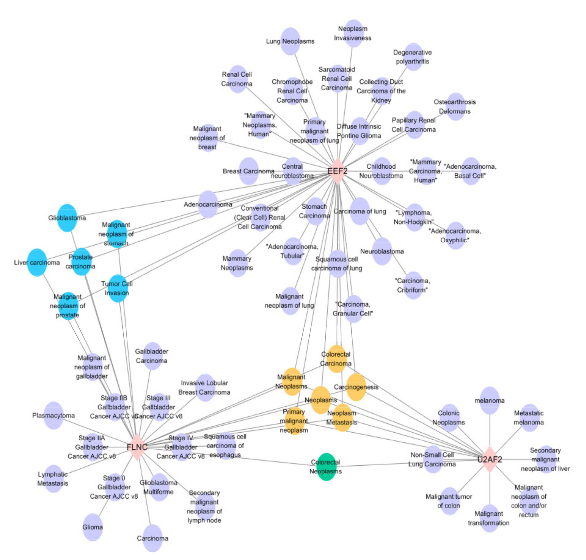 Toxins 13 00554 g007