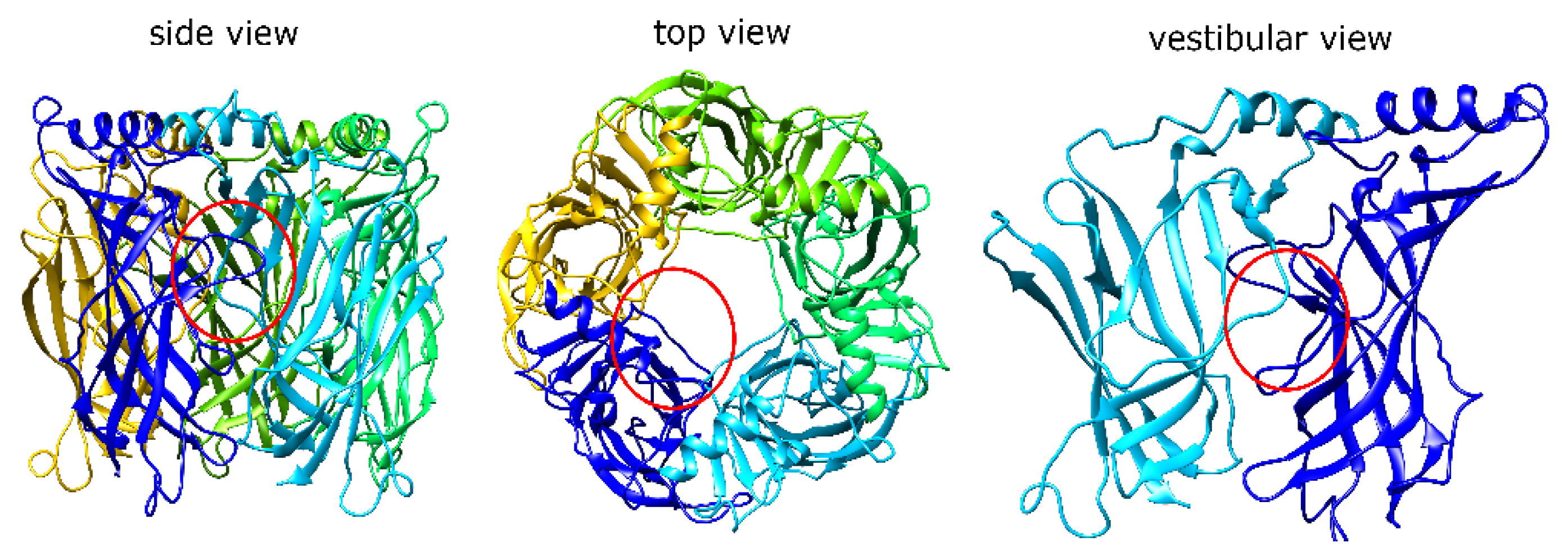 Toxins 13 00555 g001