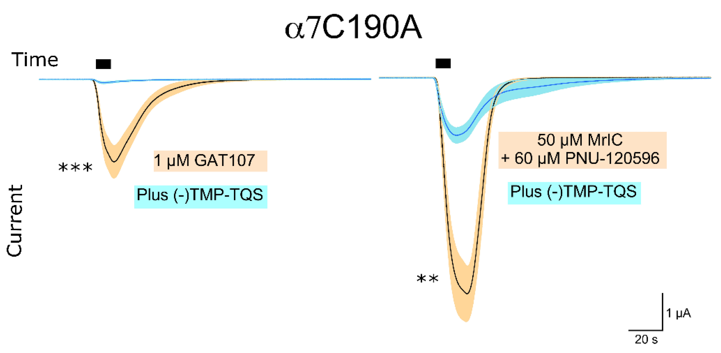 Toxins 13 00555 g003