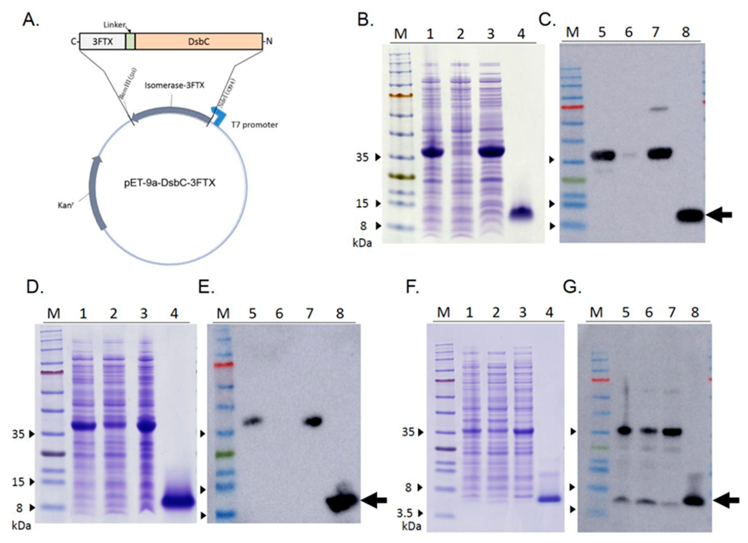 Toxins 13 00556 g001