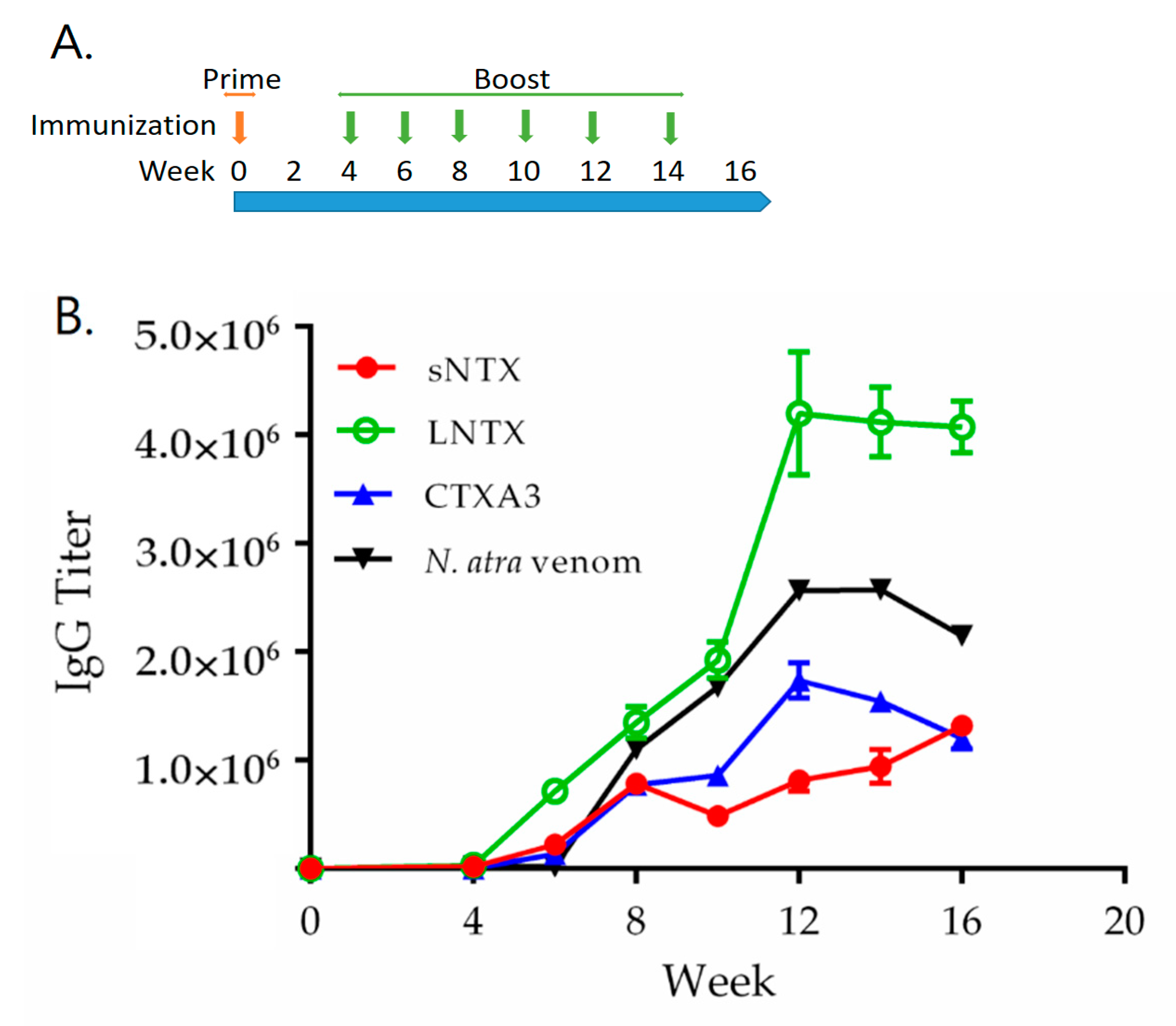 Toxins 13 00556 g004
