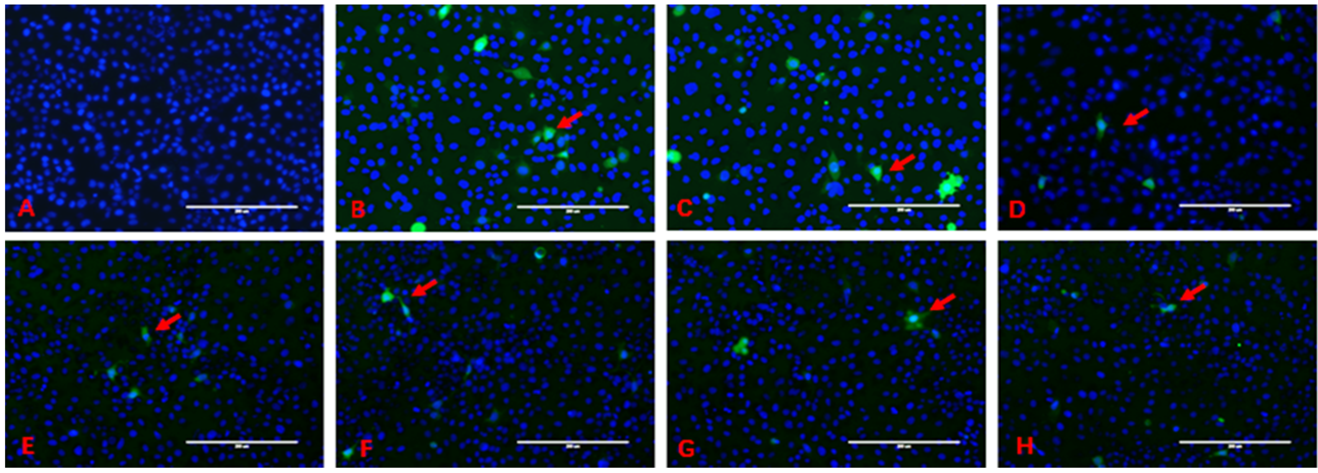 Toxins 13 00557 g002