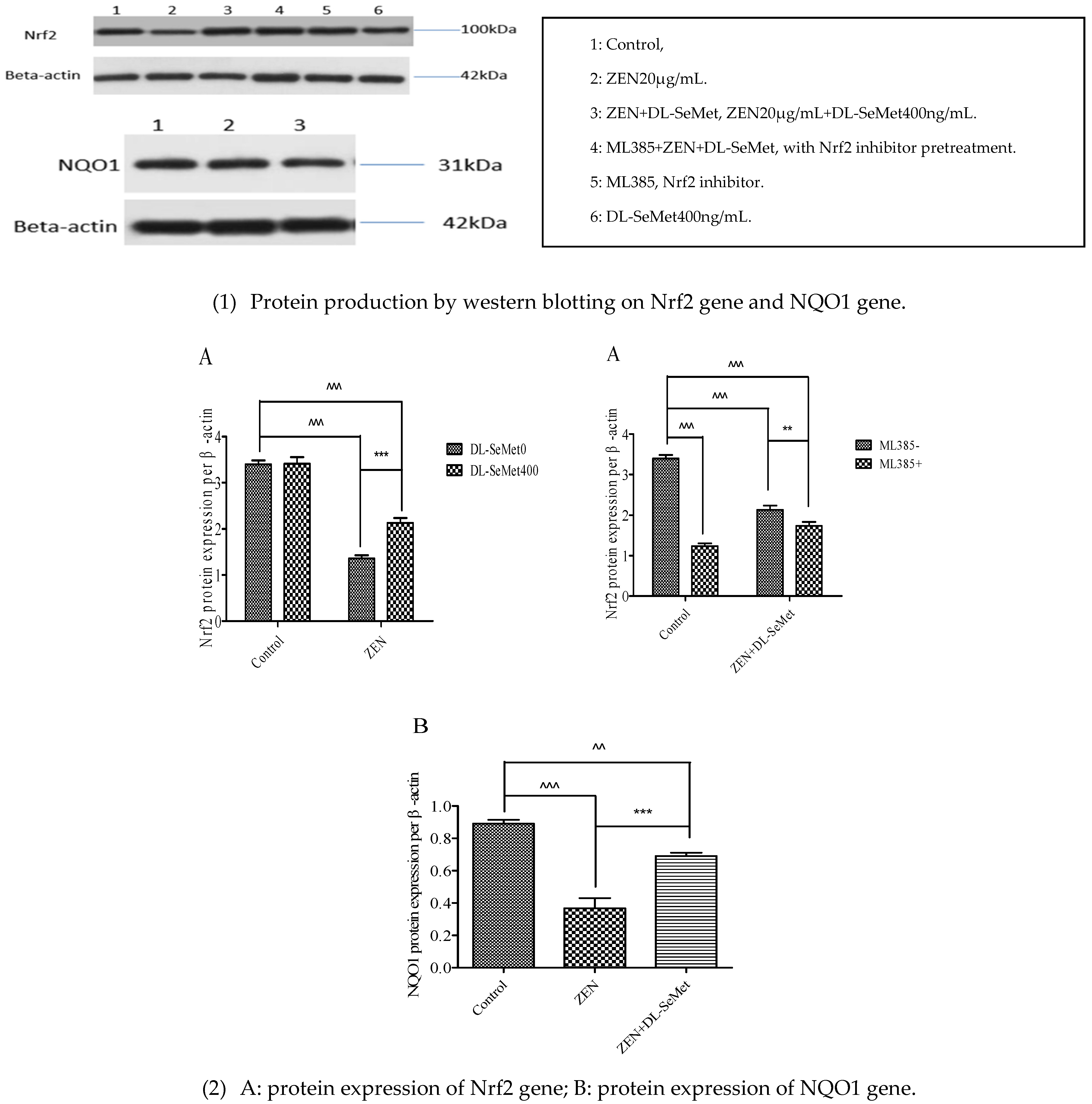 Toxins 13 00557 g007
