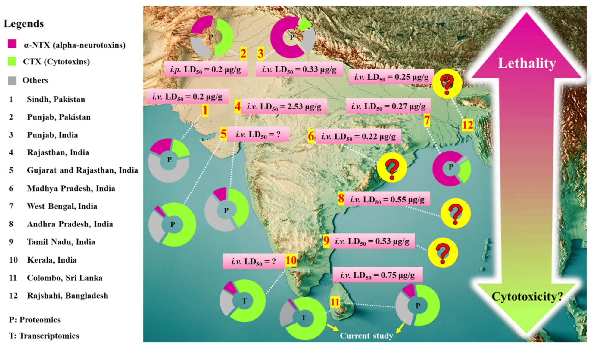 Toxins 13 00558 g007